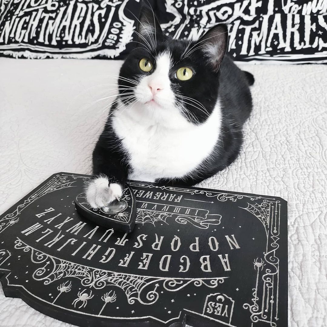 Ouija Board - Arcane Arachnid Silver