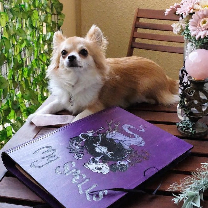 Book of Shadows - Cauldron of Spells