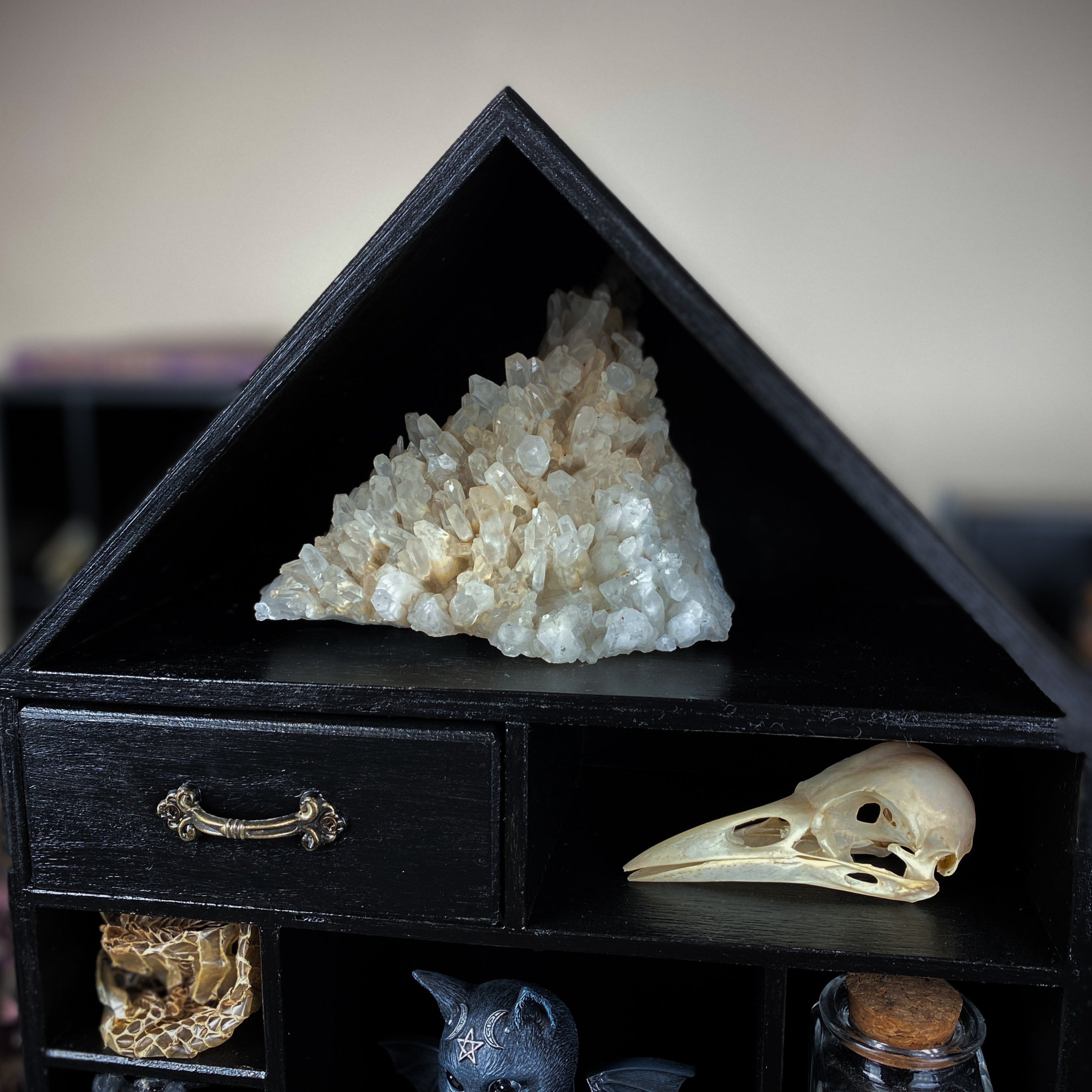 Shelf Witch House - Black