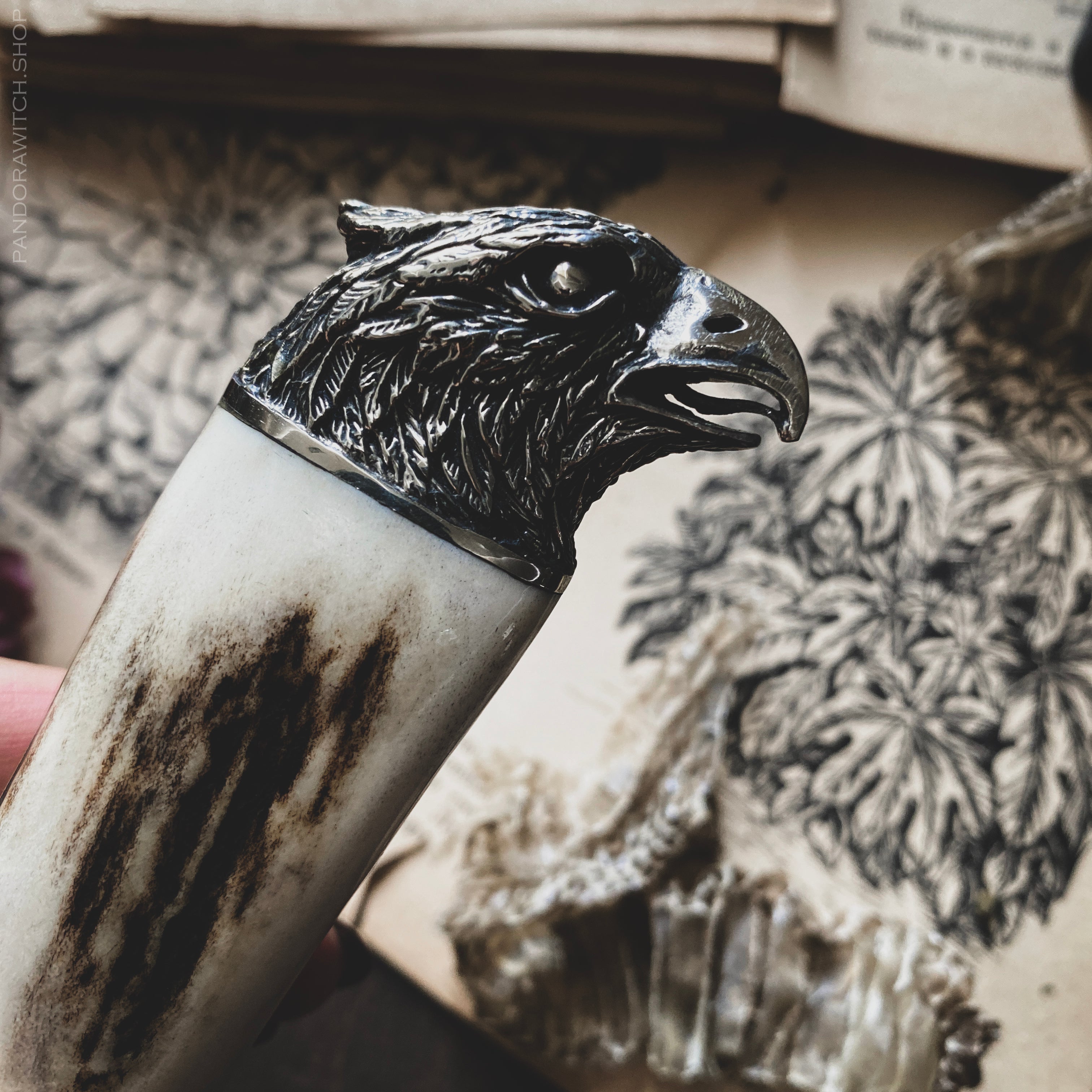 Boline - Bird of Prey