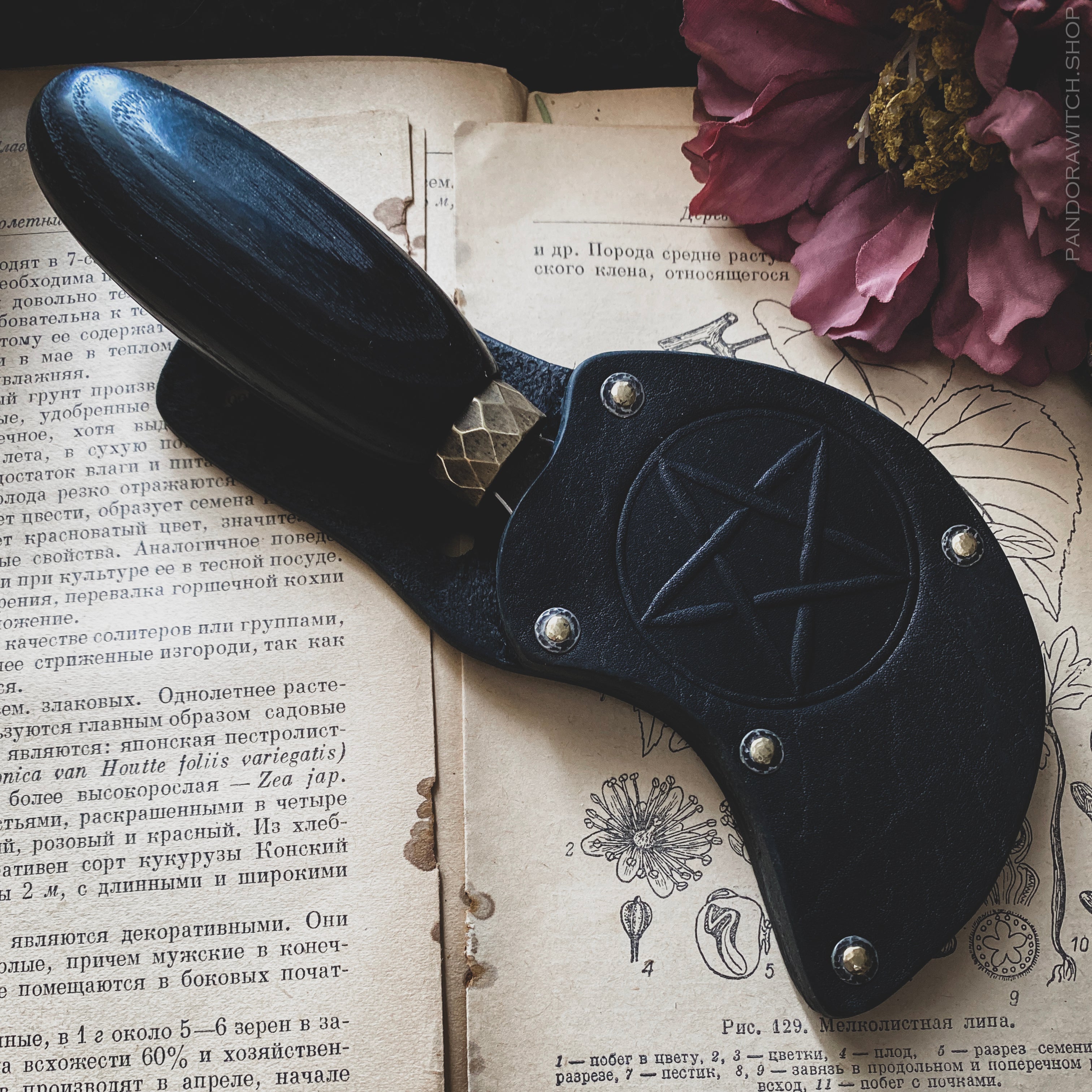 Small Boline - Witch's Guard
