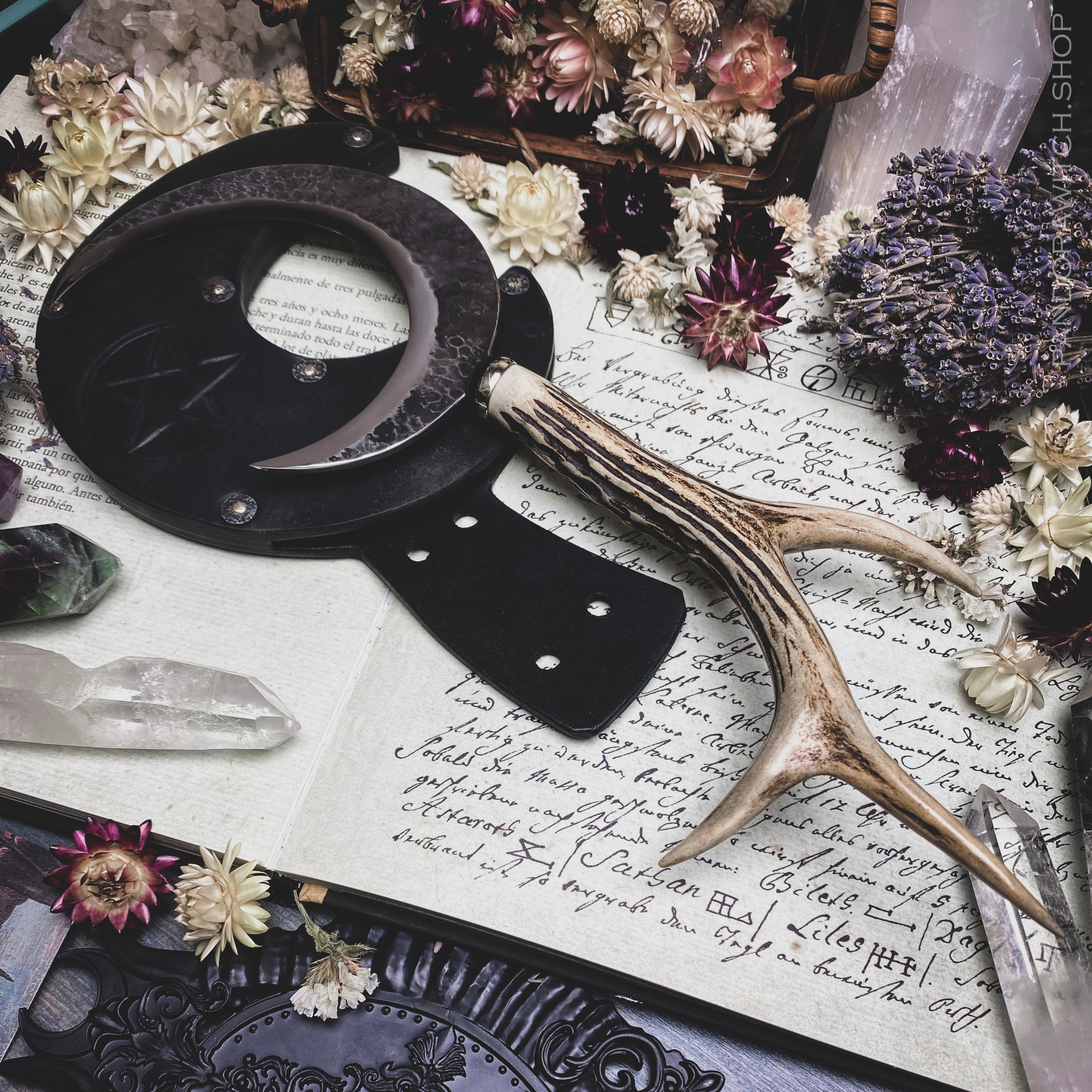 Boline Sickle - Wild Spirit