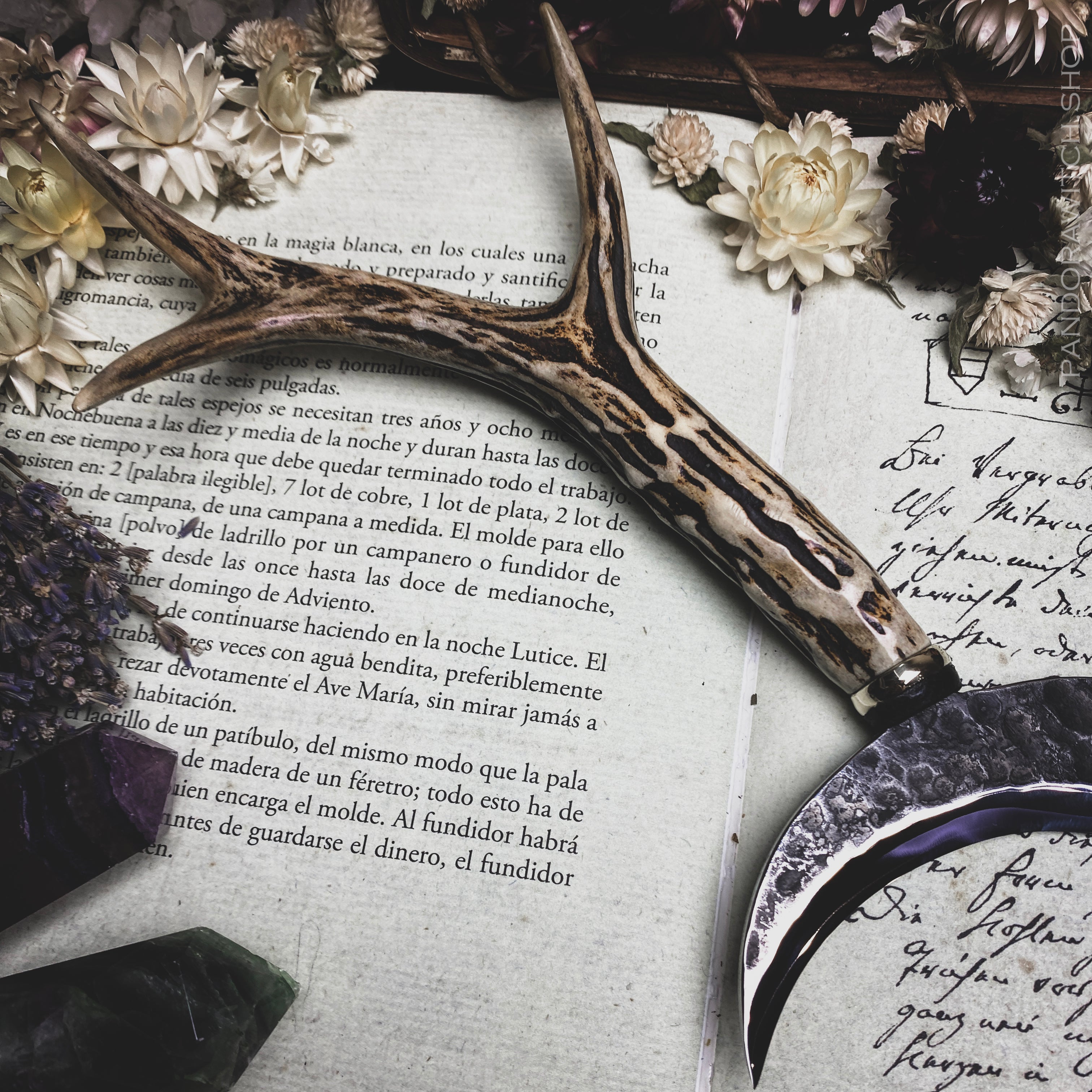 Boline Sickle - Wild Spirit