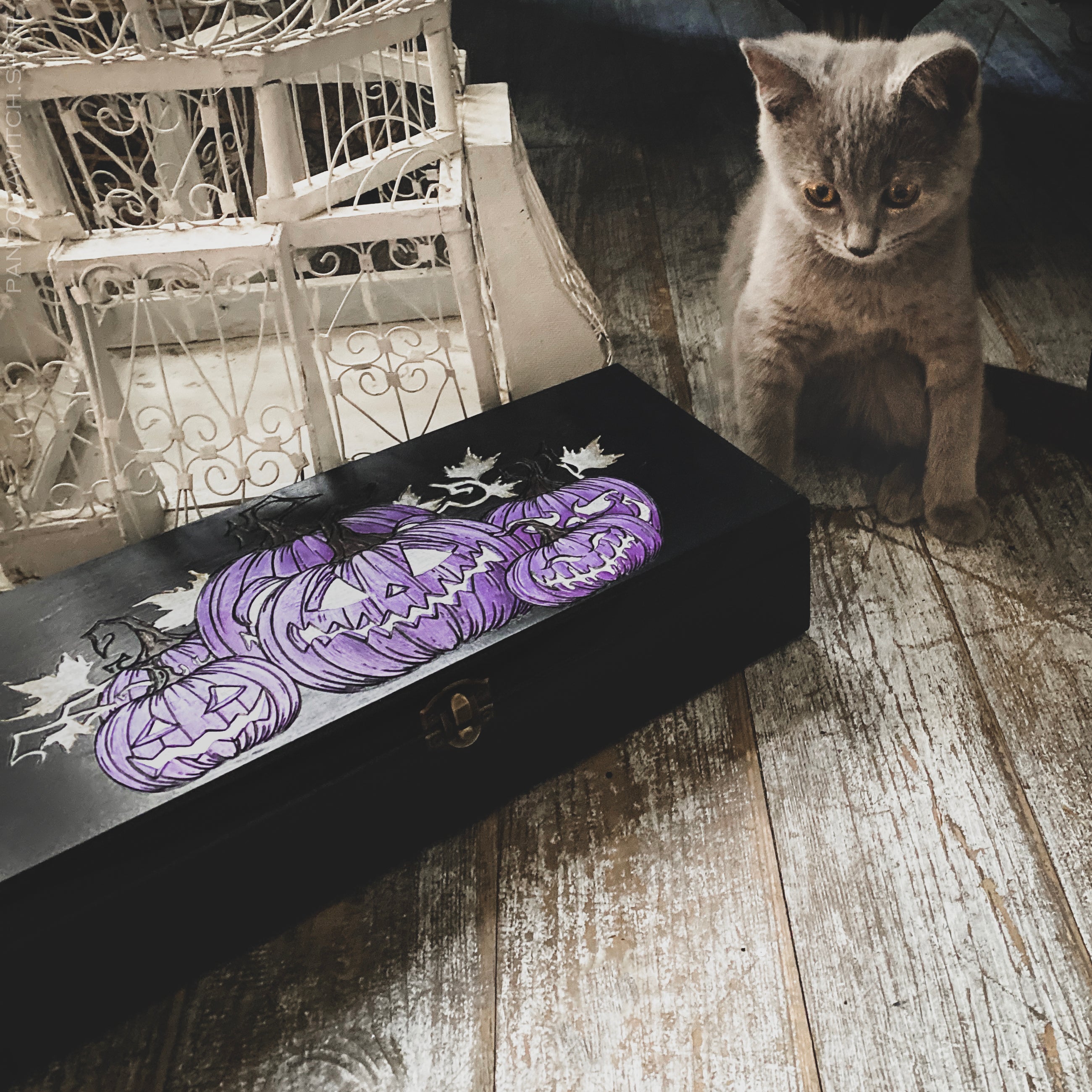 Box - Violet Pumpkin Mood - For 2 or 4 Tarot decks