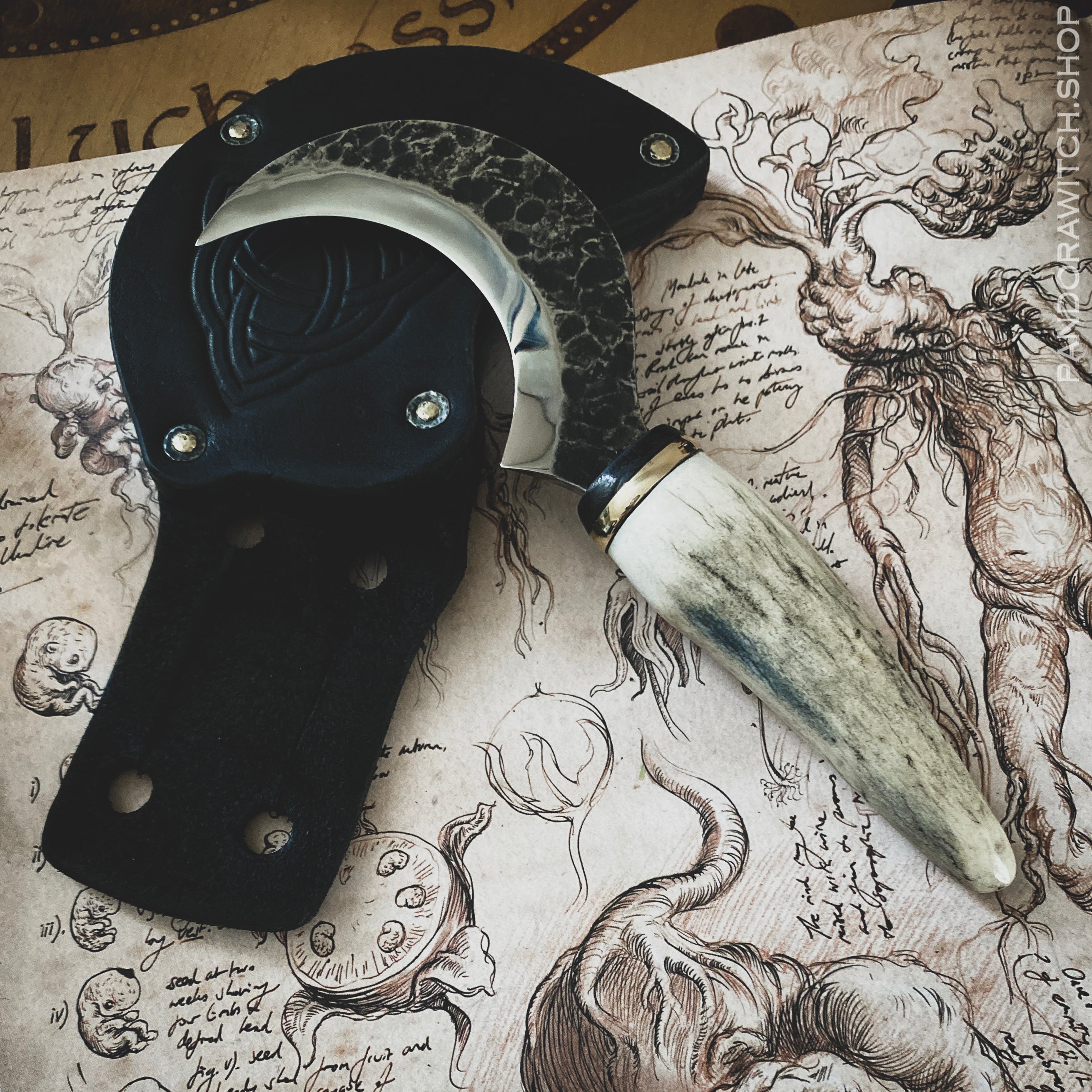 Small Boline - Deer Horn XIII