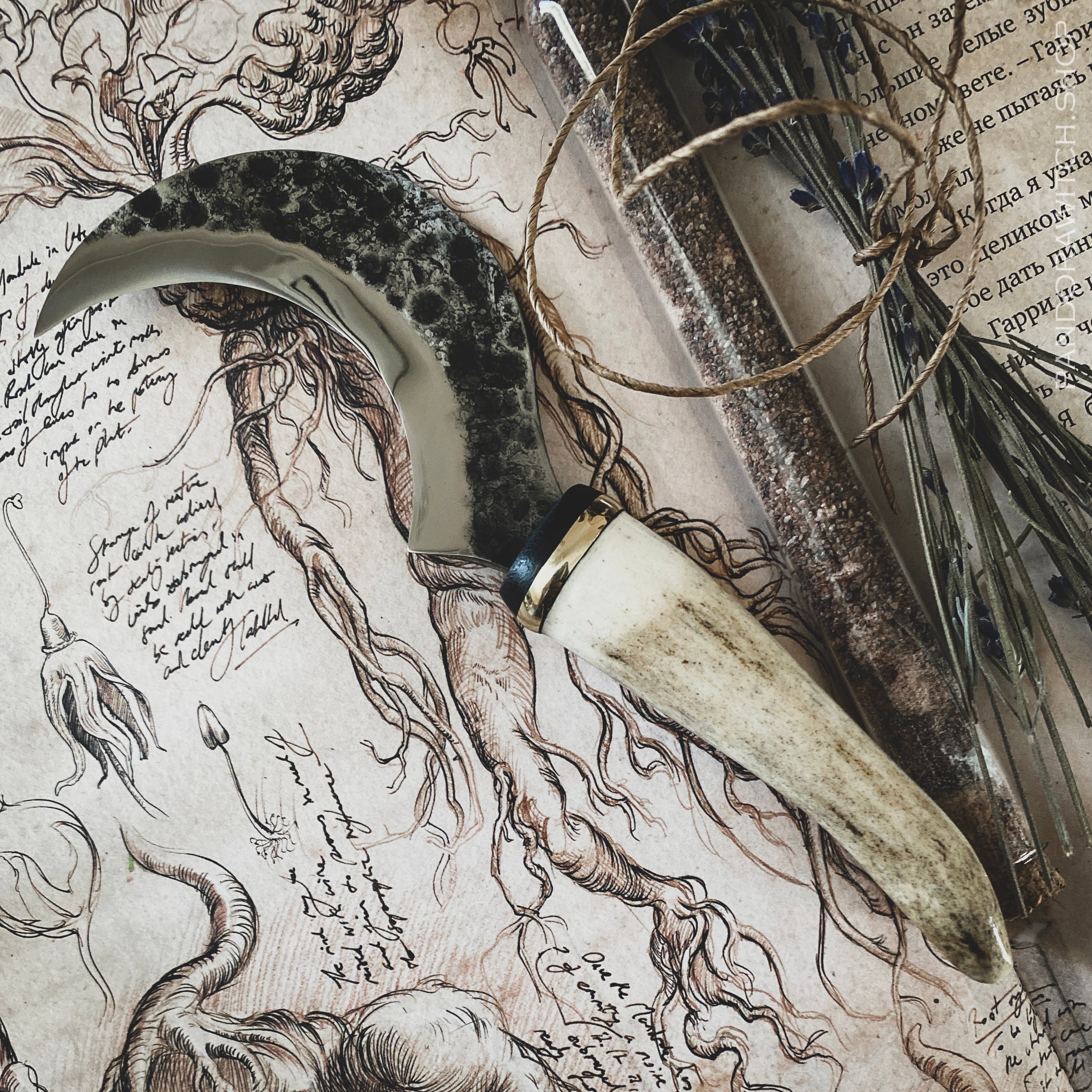Small Boline - Deer Horn XVII