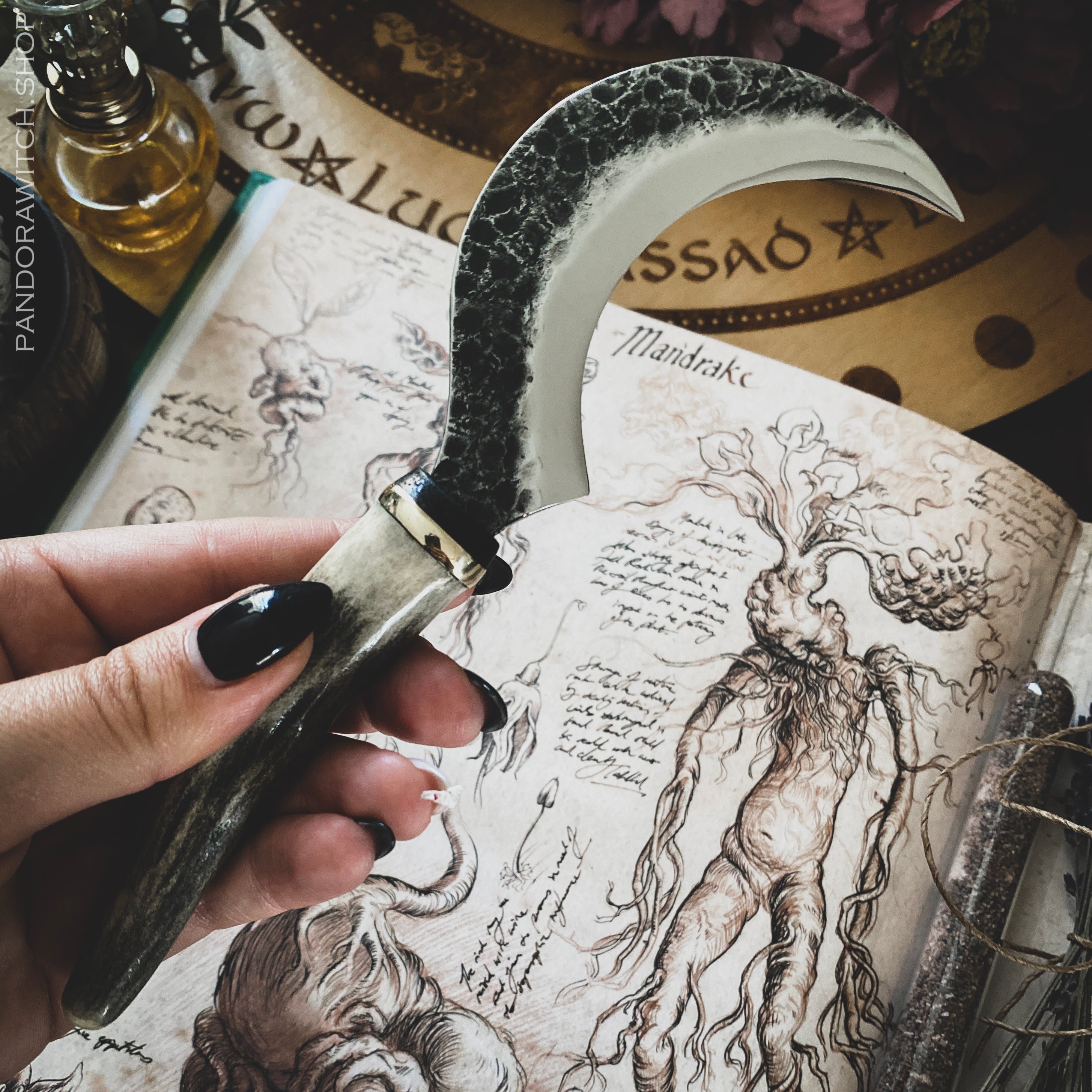 Small Boline - Deer Horn XVIII