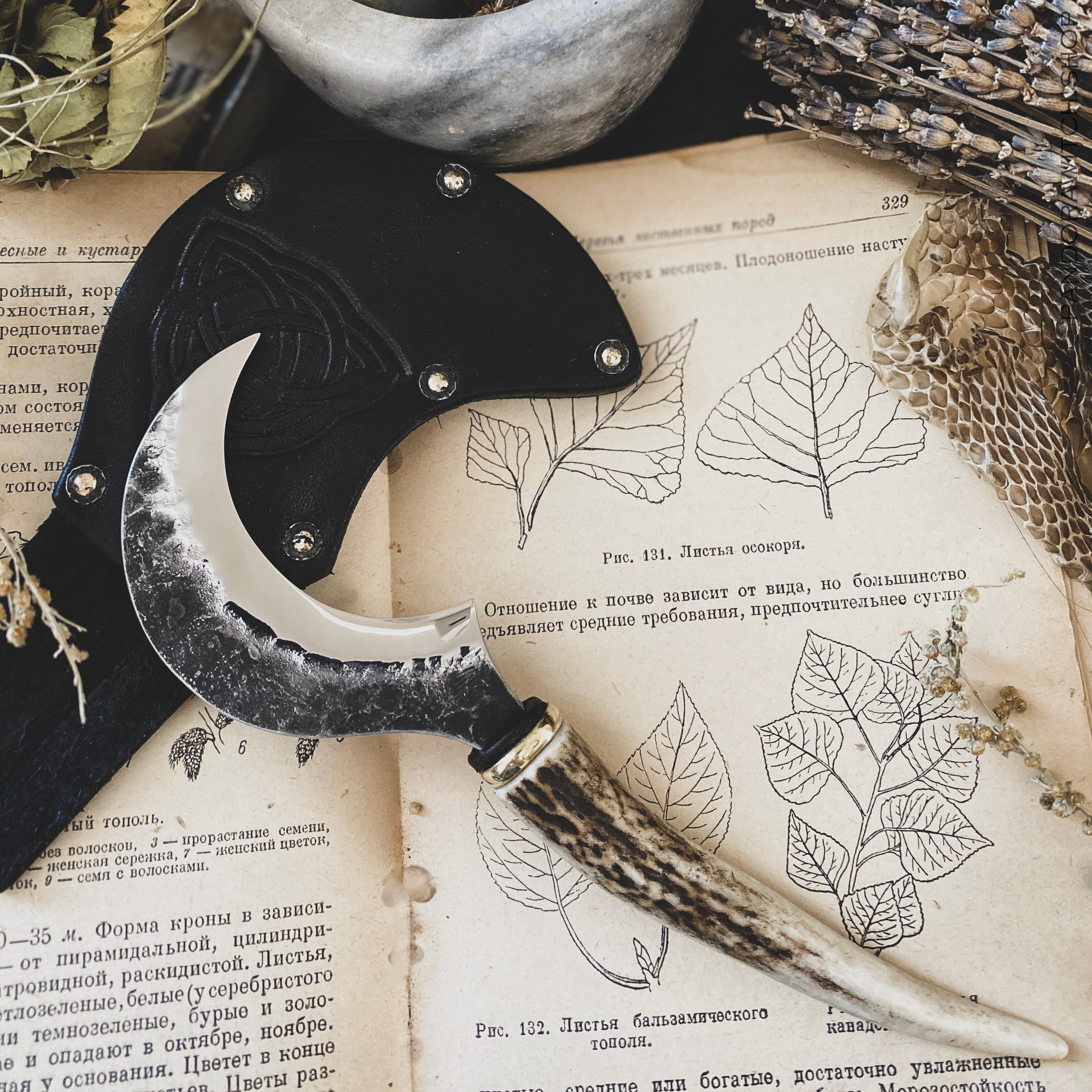 Small Boline - Deer Horn X