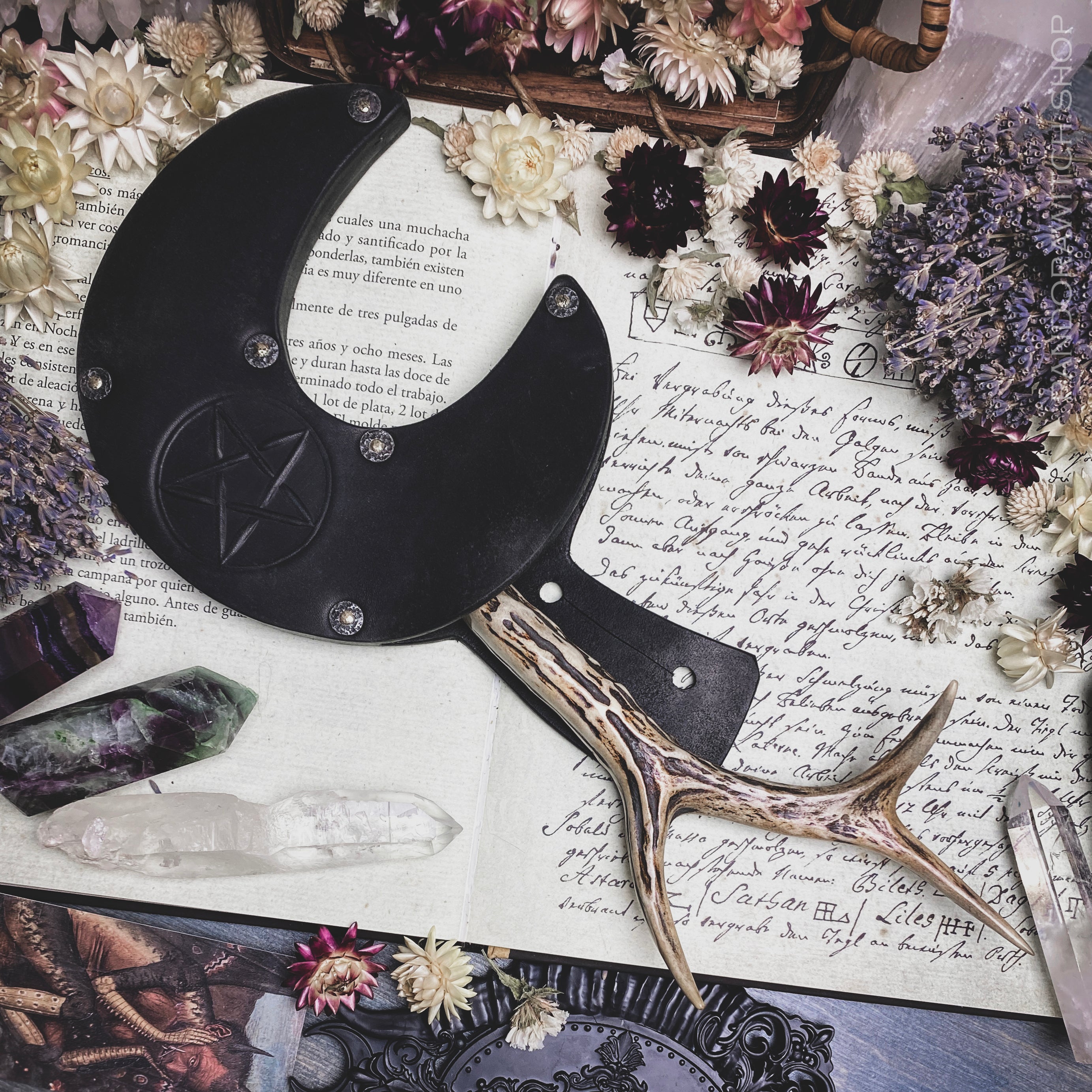 Boline Sickle - Wild Spirit