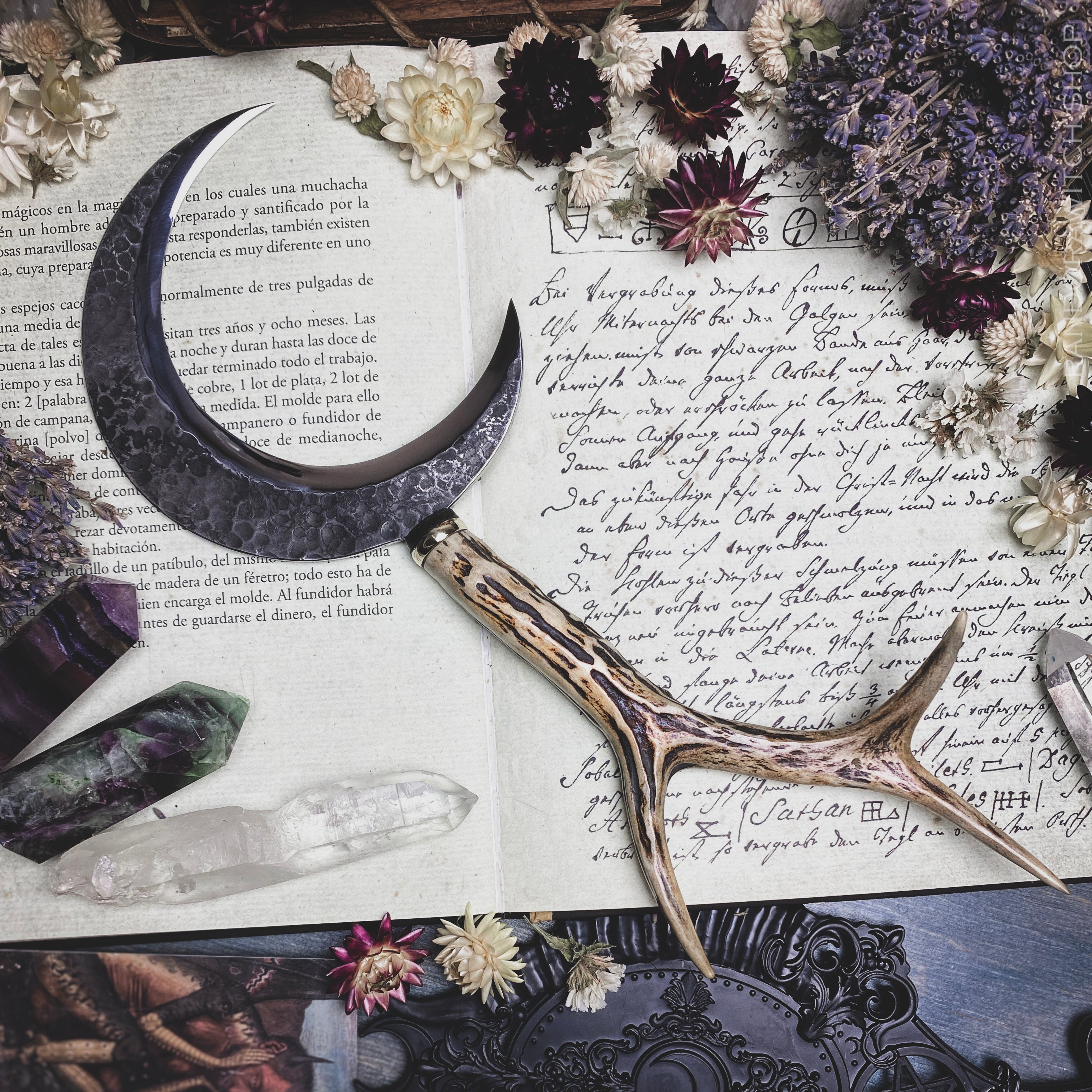 Boline Sickle - Wild Spirit