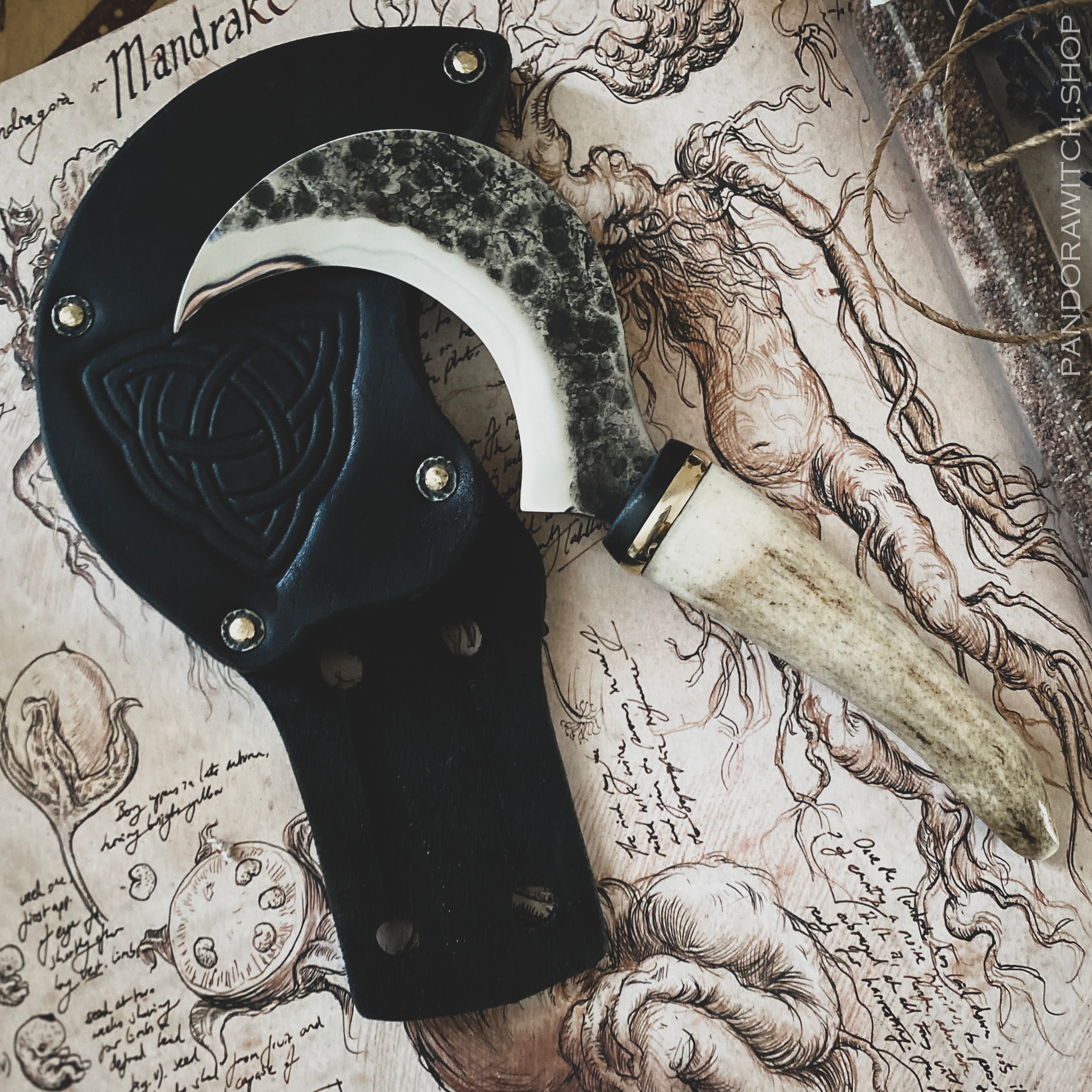 Small Boline - Deer Horn XVII