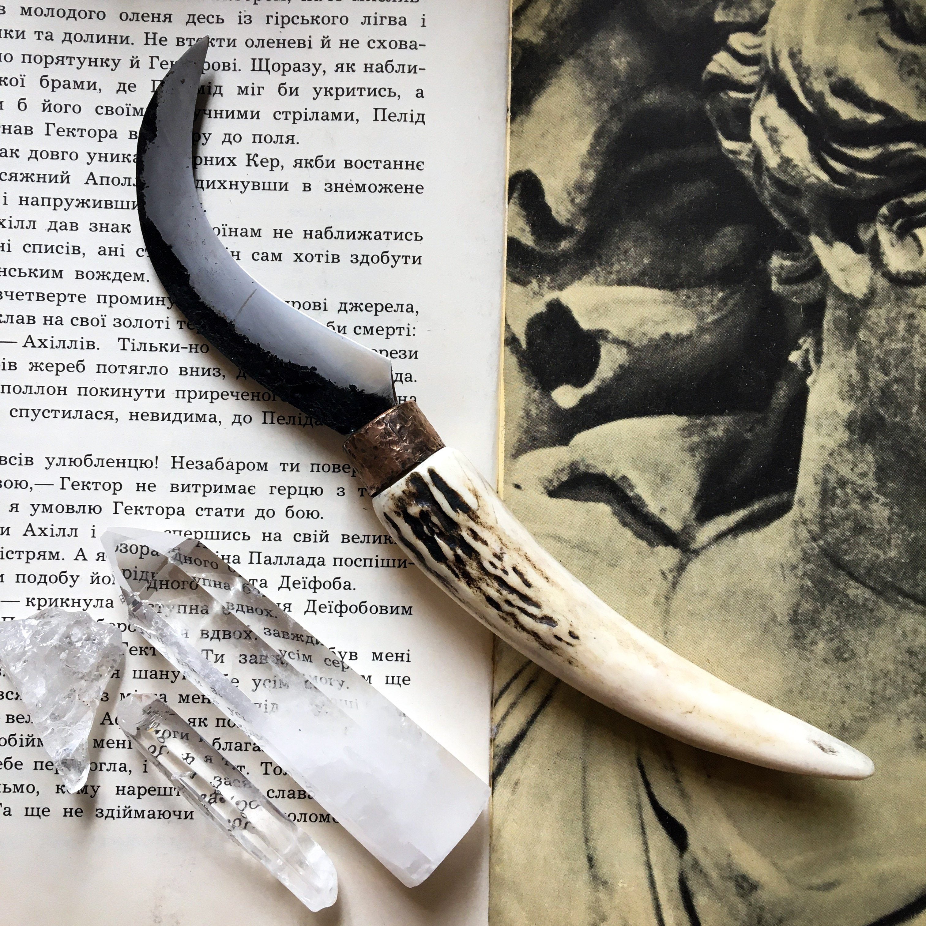 Camping Boline "Deer horn I"
