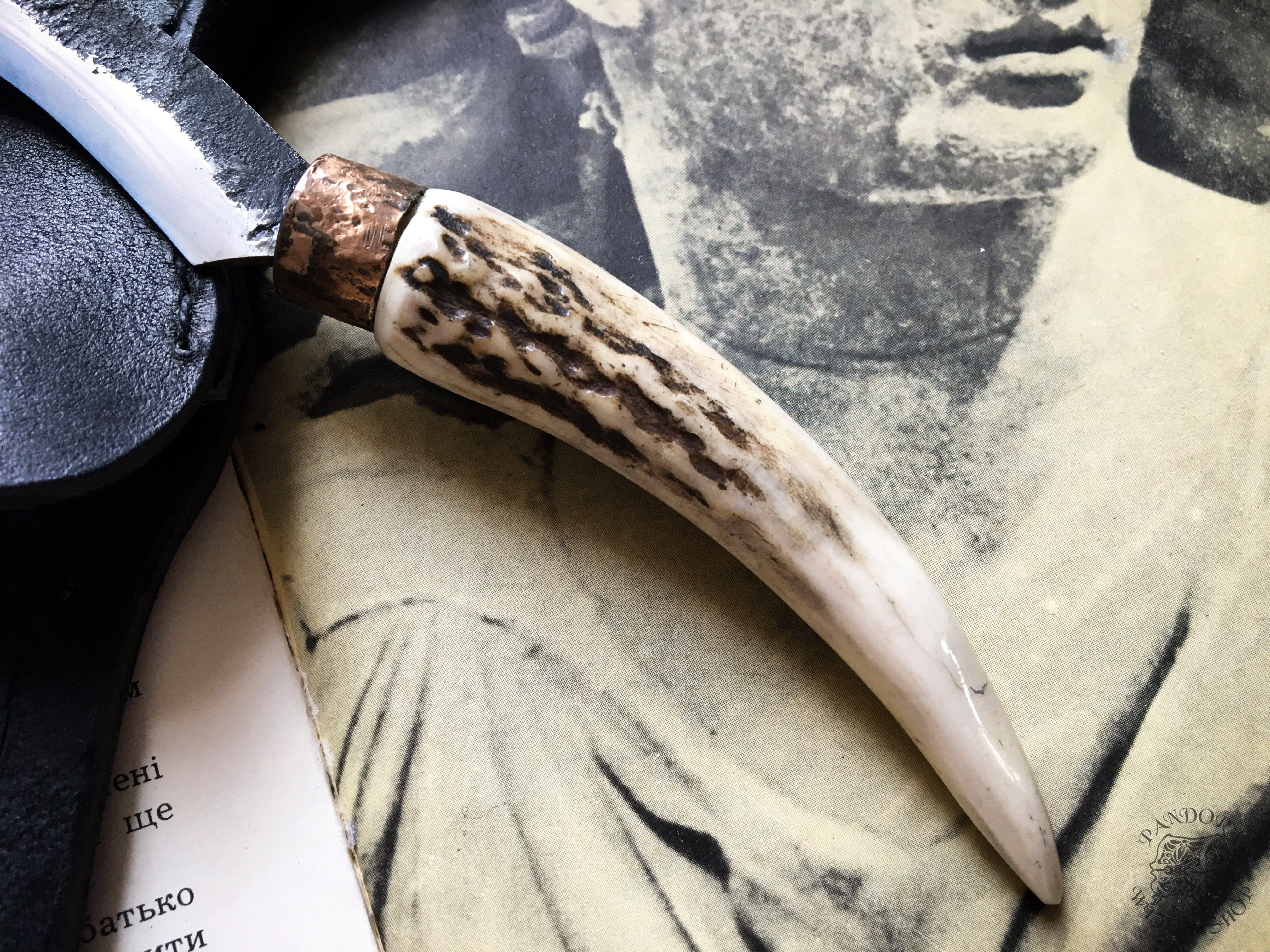 Camping Boline "Deer horn I"