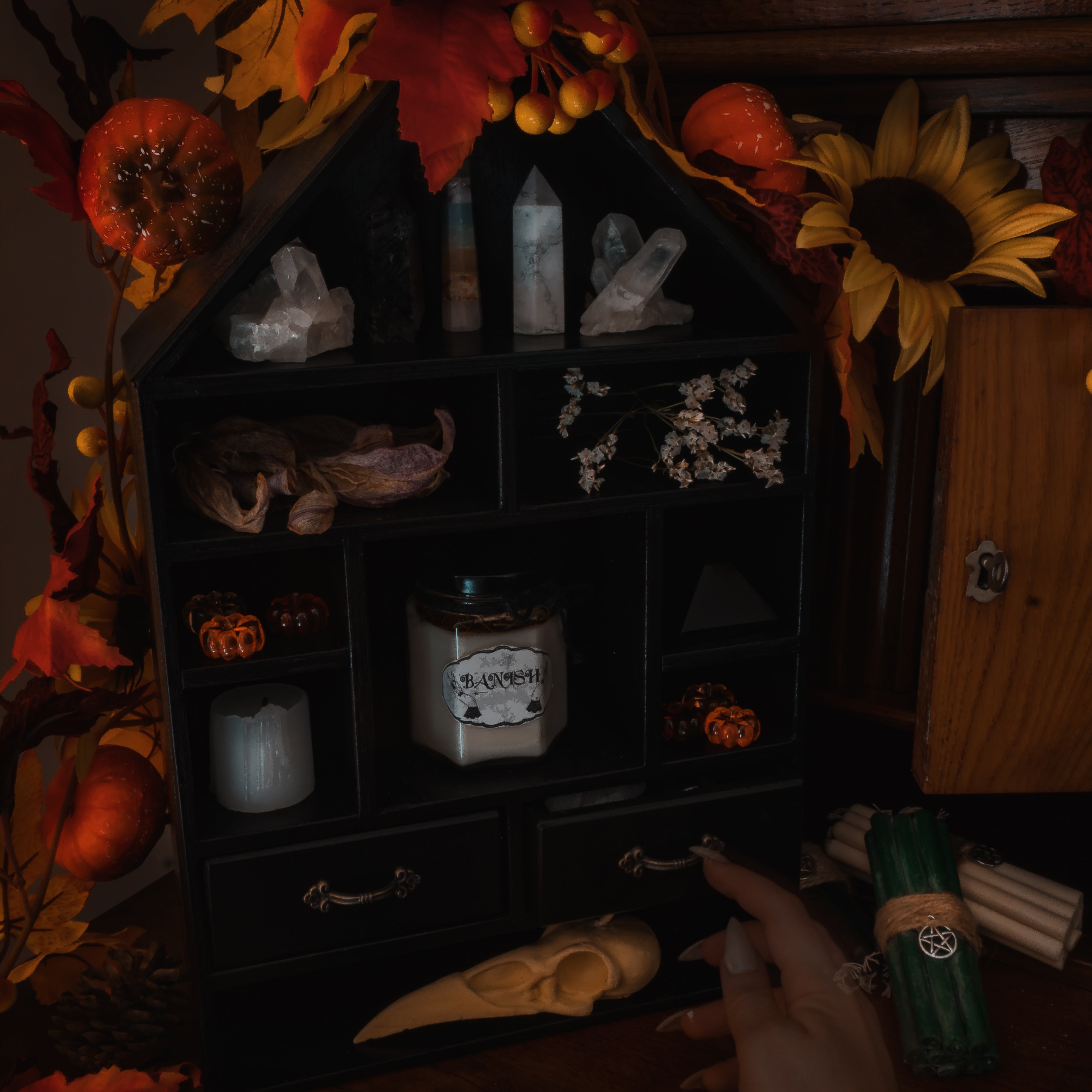 Shelf Witch House - Black