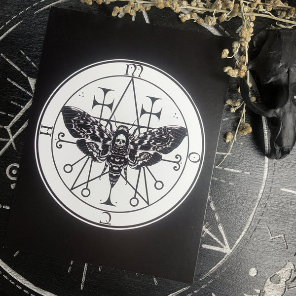 Postcard - Familiar Moth