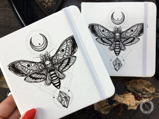 Sketchbook - Sketchbook - Death Head Moth