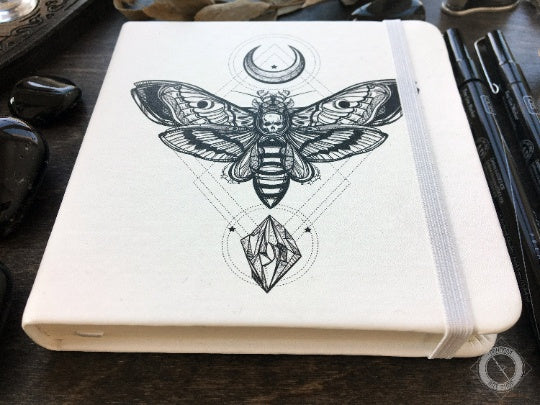 Sketchbook - Sketchbook - Death Head Moth