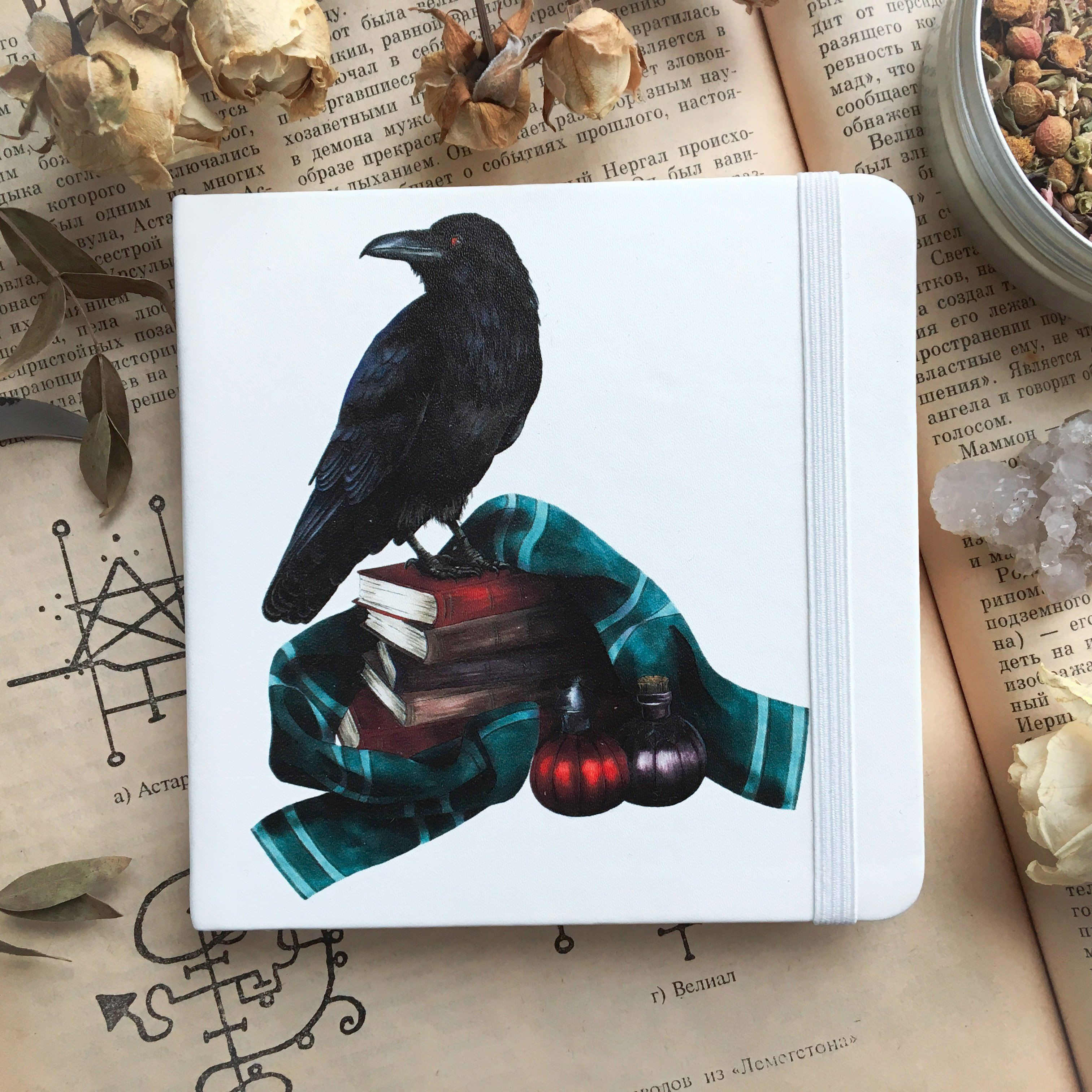 Sketchbook - Sketchbook - Familiar Crow