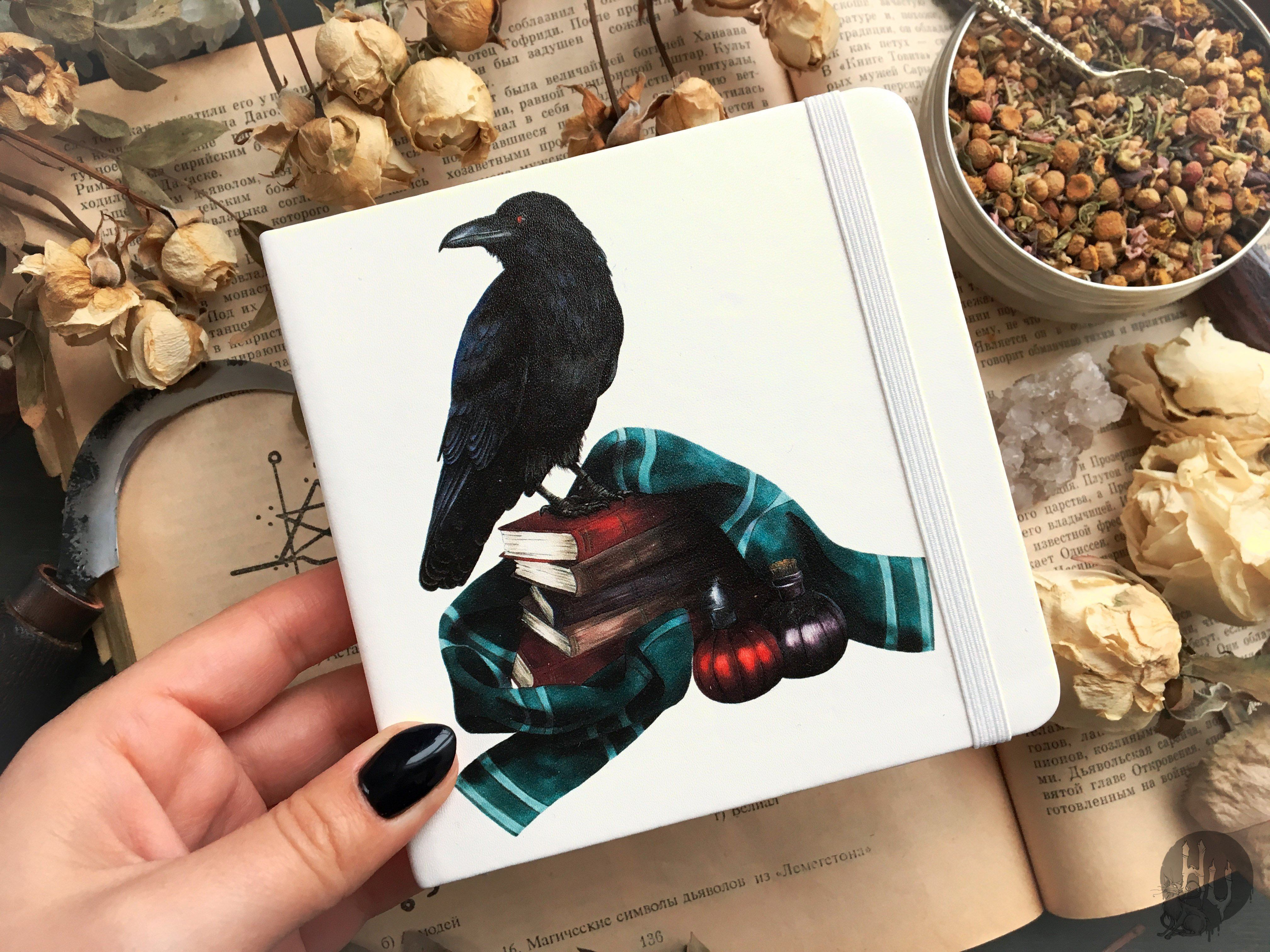 Sketchbook - Sketchbook - Familiar Crow