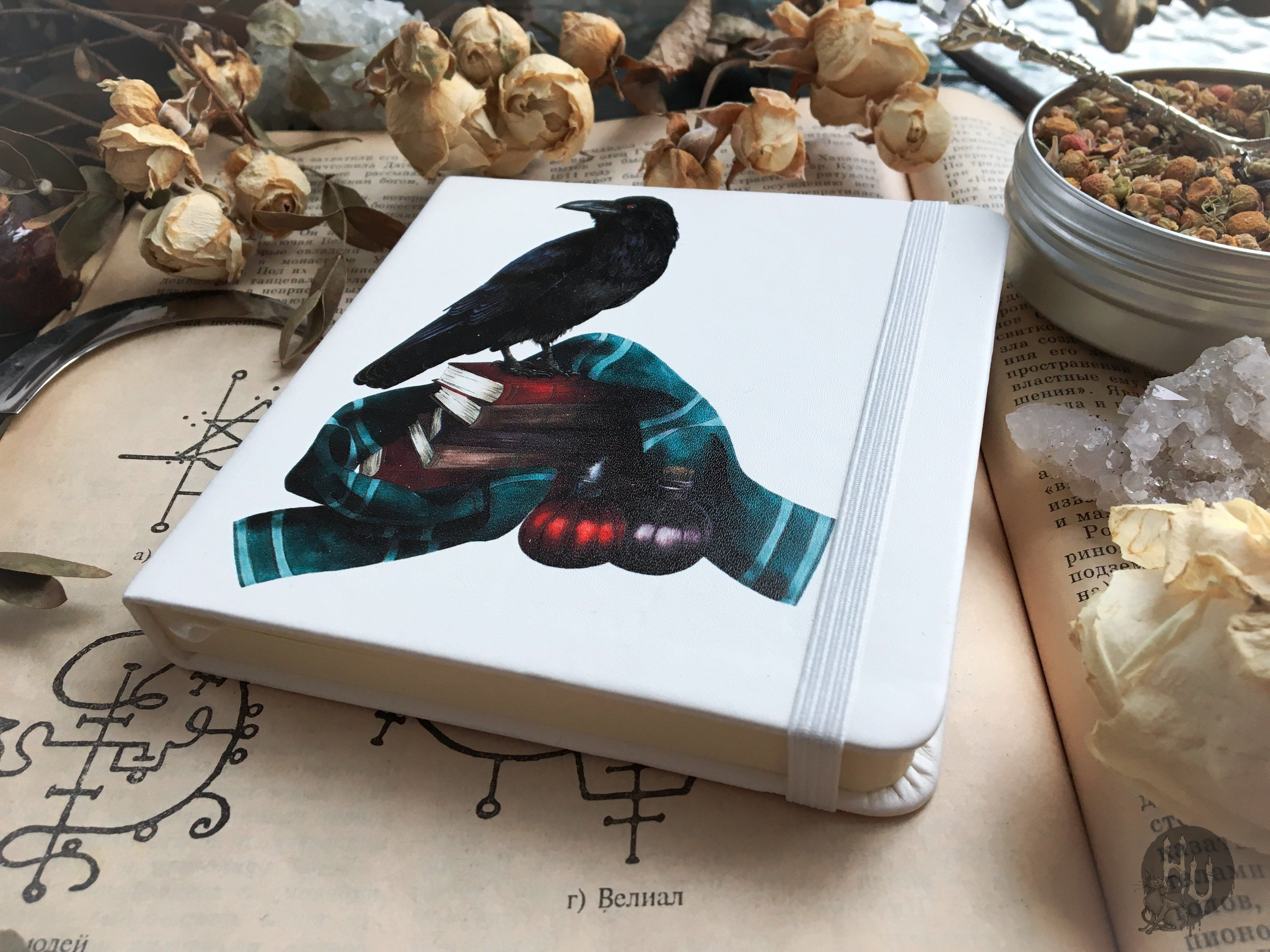 Sketchbook - Sketchbook - Familiar Crow
