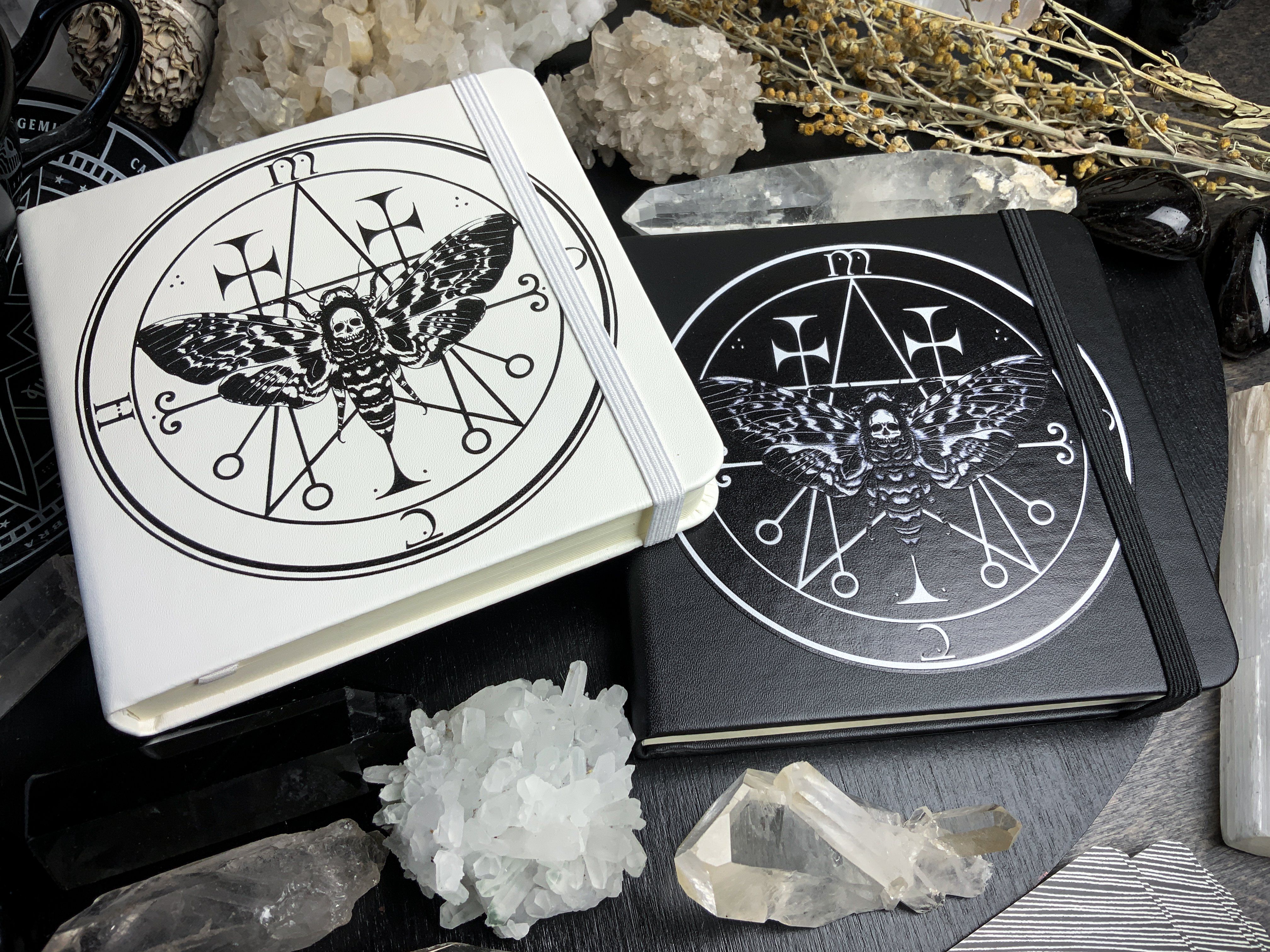 Sketchbook - Familiar Moth