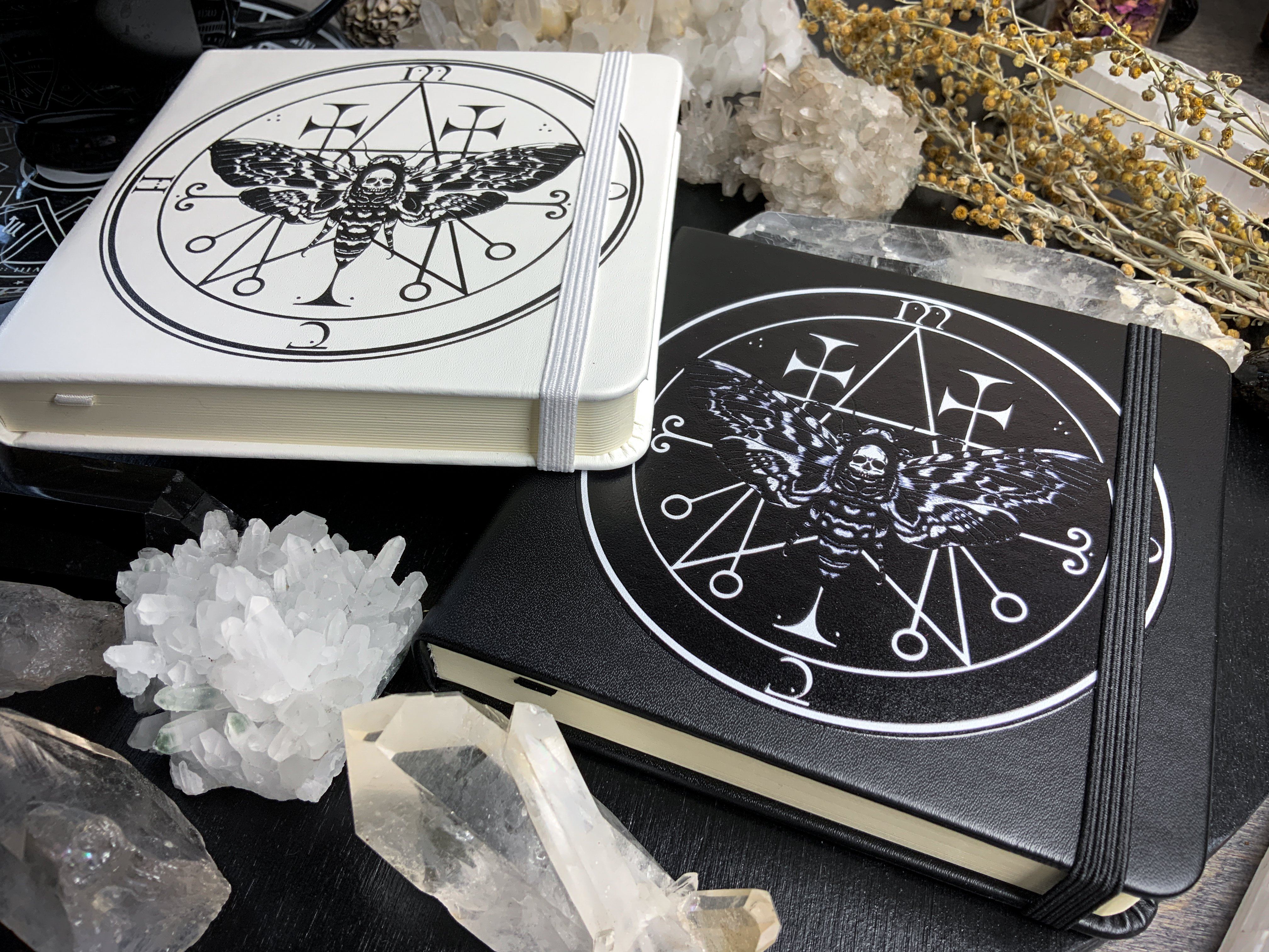 Sketchbook - Familiar Moth