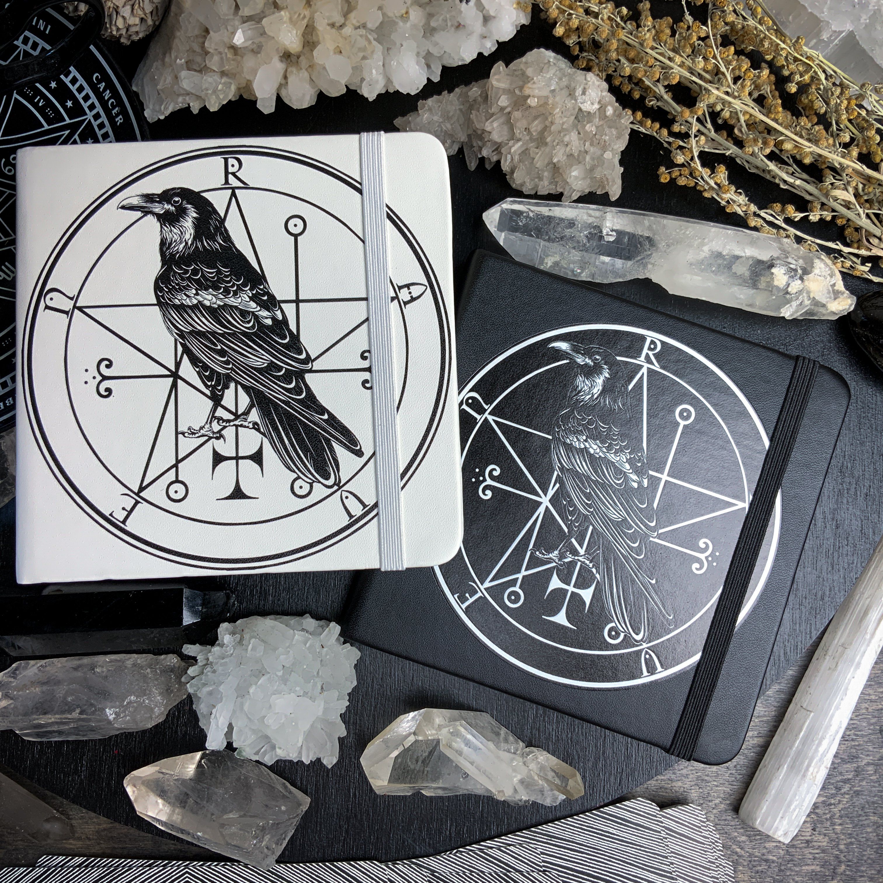 Sketchbook - Familiar Raven
