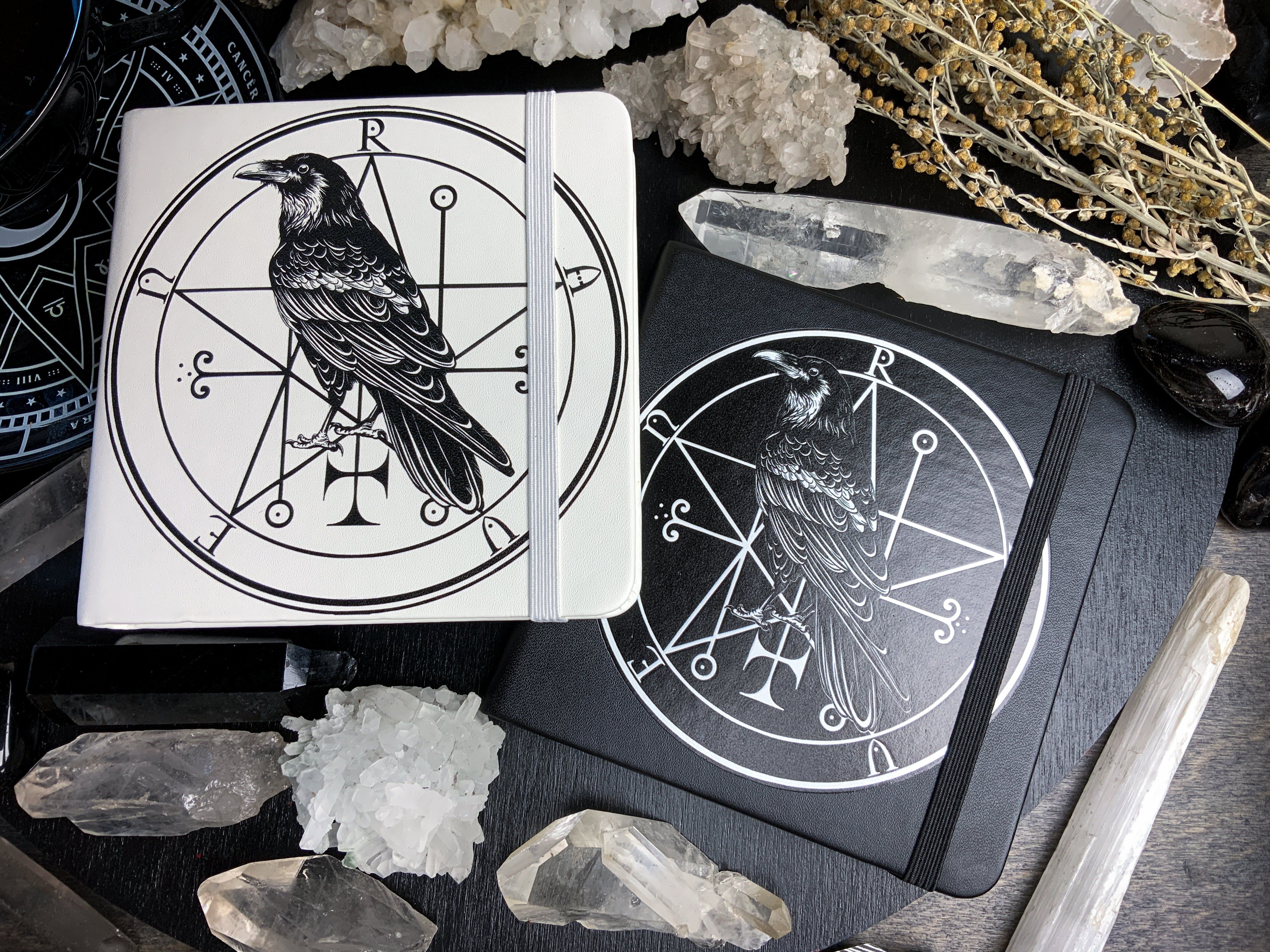 Sketchbook - Familiar Raven