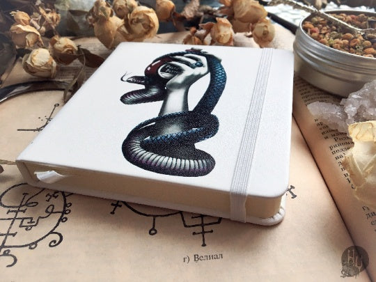 Sketchbook - Sketchbook - Poison