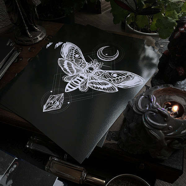 Death's head Moth Art Print