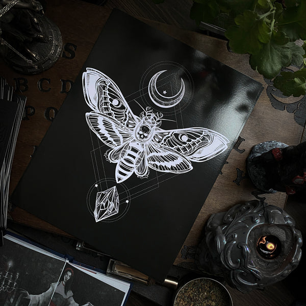 Death's head Moth Art Print