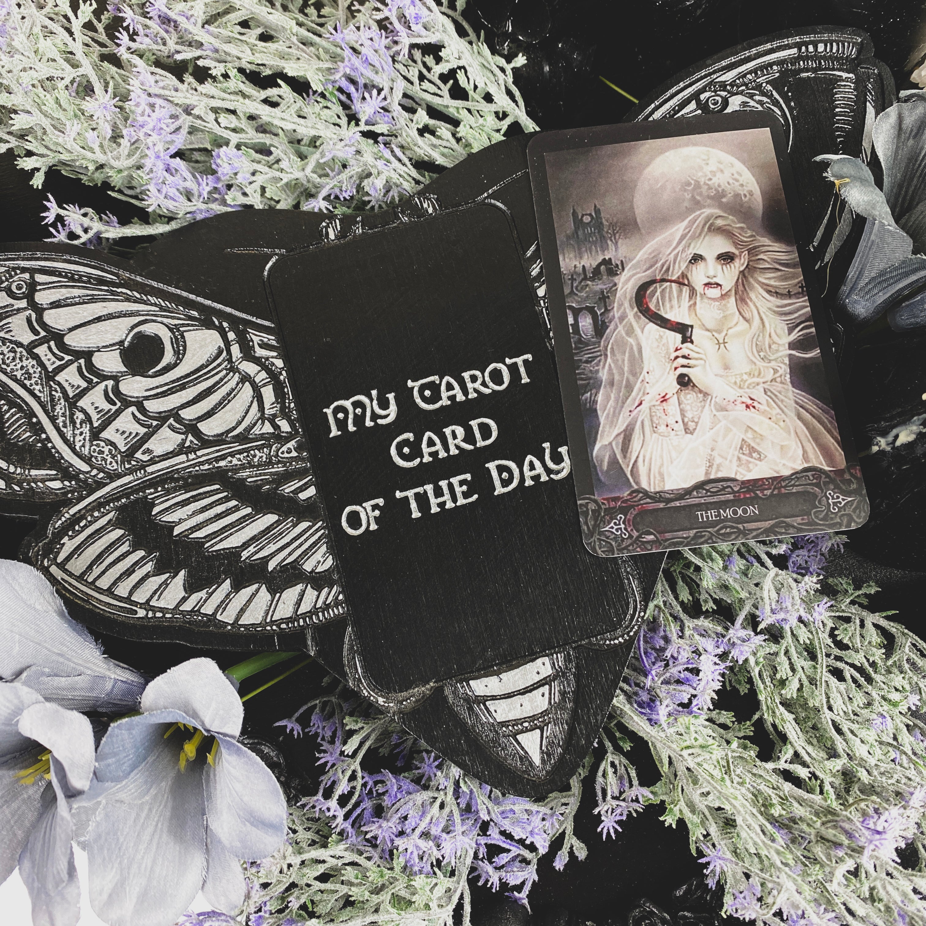 Tarot Board Card of the Day - BLACK AND SILVER DEATH'S HEAD MOTH - SS