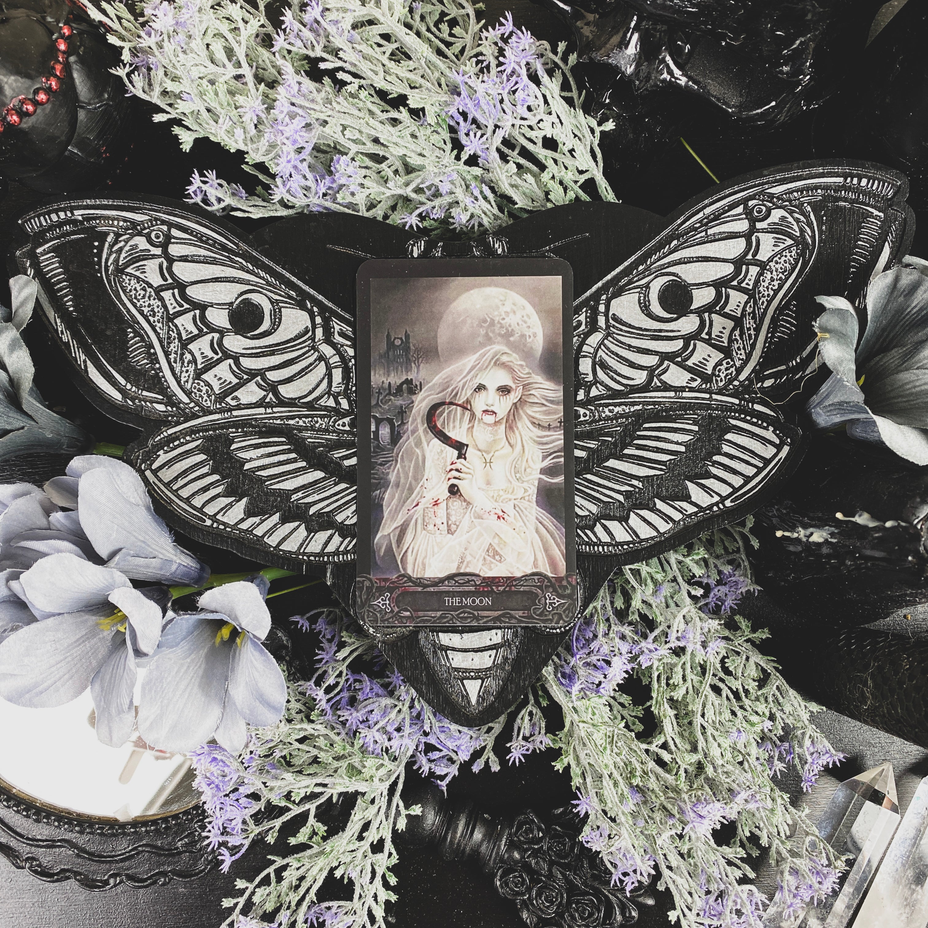 Tarot Board Card of the Day - BLACK AND SILVER DEATH'S HEAD MOTH - SS