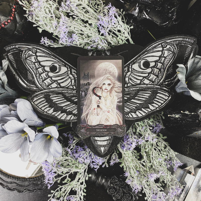 Tarot Board Card of the Day - BLACK AND SILVER DEATH'S HEAD MOTH - SS