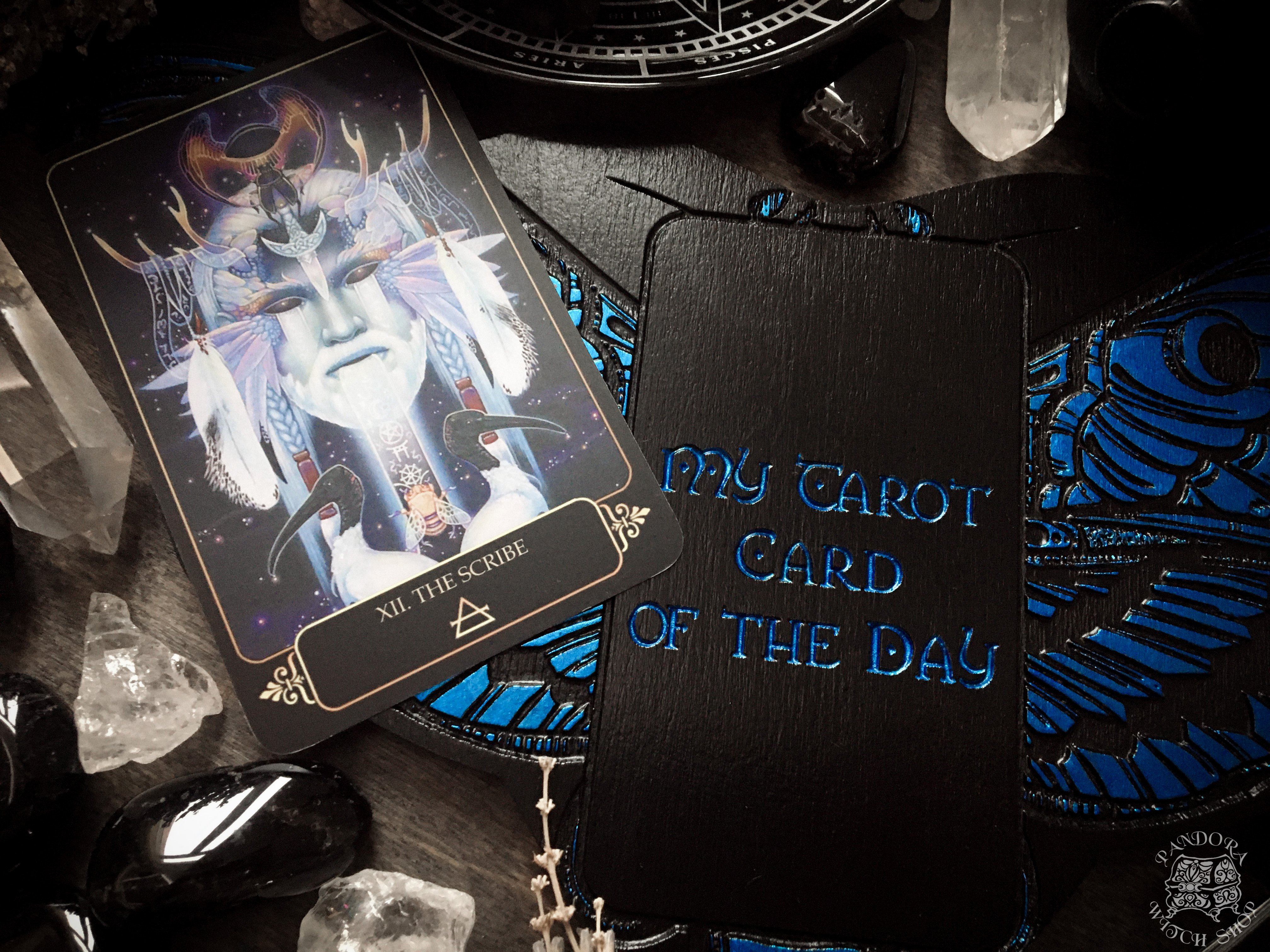 Tarot Board Card of the Day - AZURE DEATH'S HEAD MOTH - SS