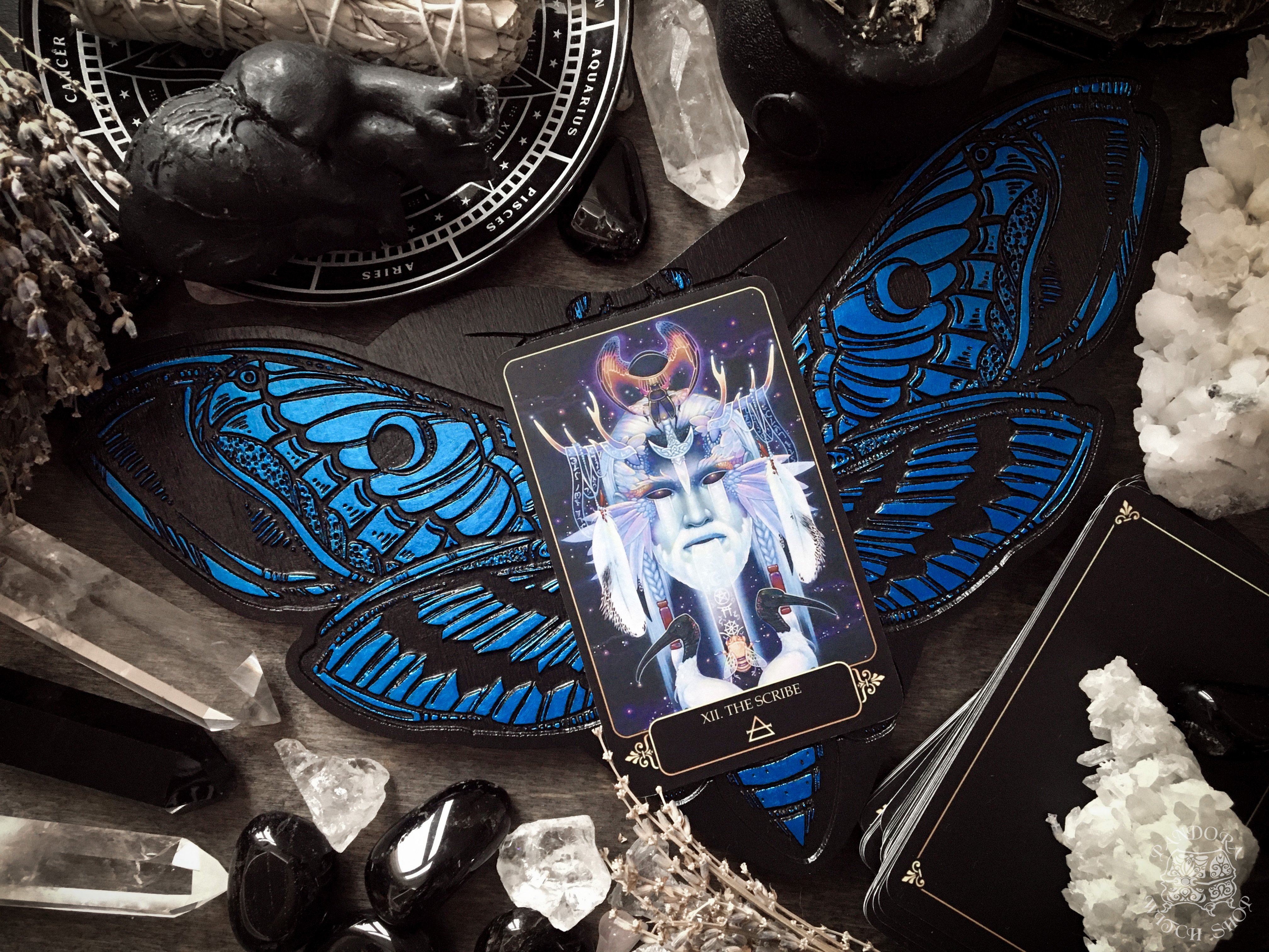 Tarot Board Card of the Day - AZURE DEATH'S HEAD MOTH - SS