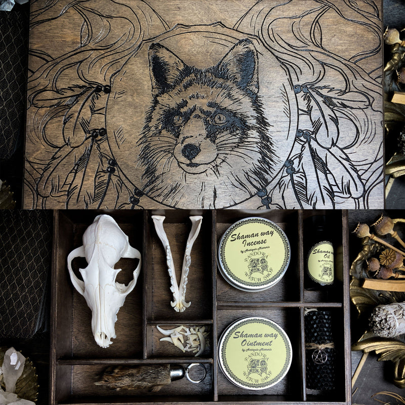 Fox - Totem Animal Box Set