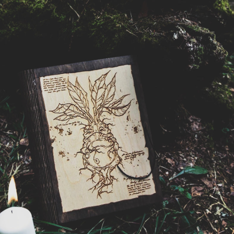 Book of Shadows - Mandrake Natural