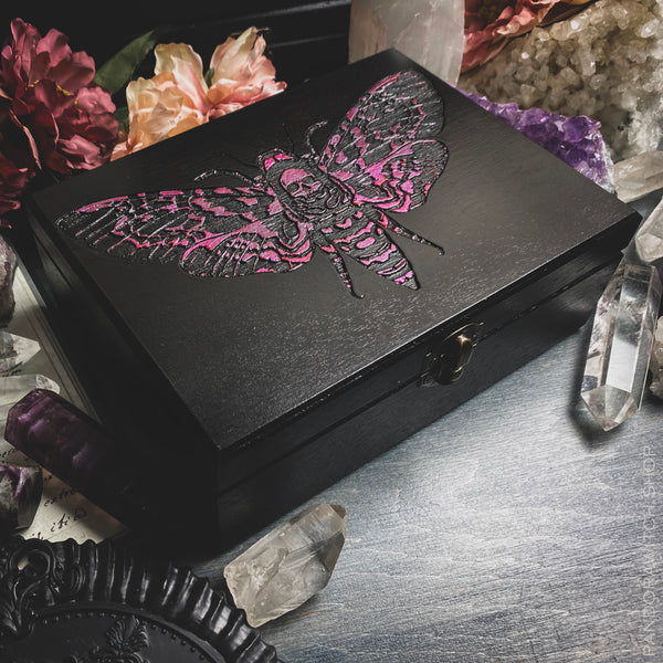 Black Box - Pink Moth