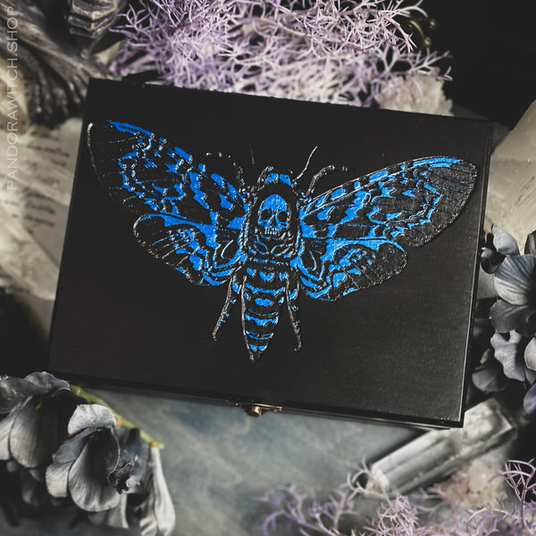 Black Box - Blue Moth