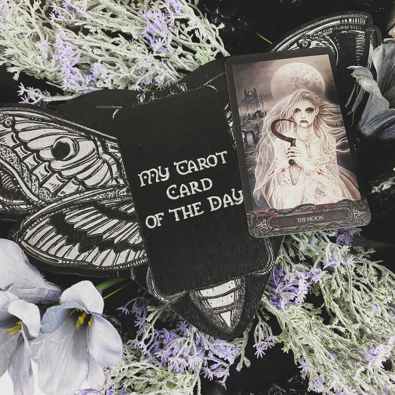 Tarot Board Card of the Day - BLACK AND SILVER DEATH'S HEAD MOTH