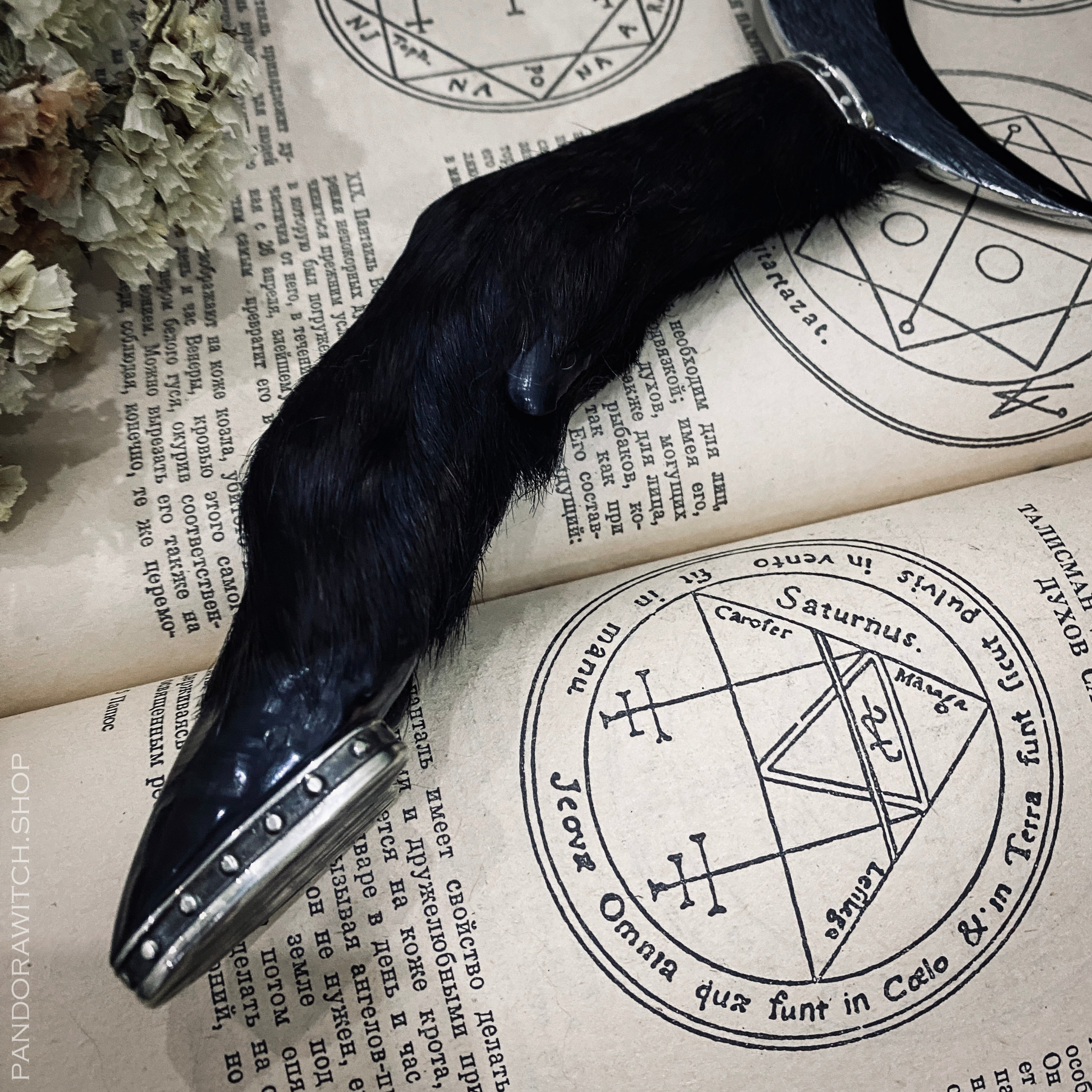 Sickle - Black Phillip - PRE ORDER