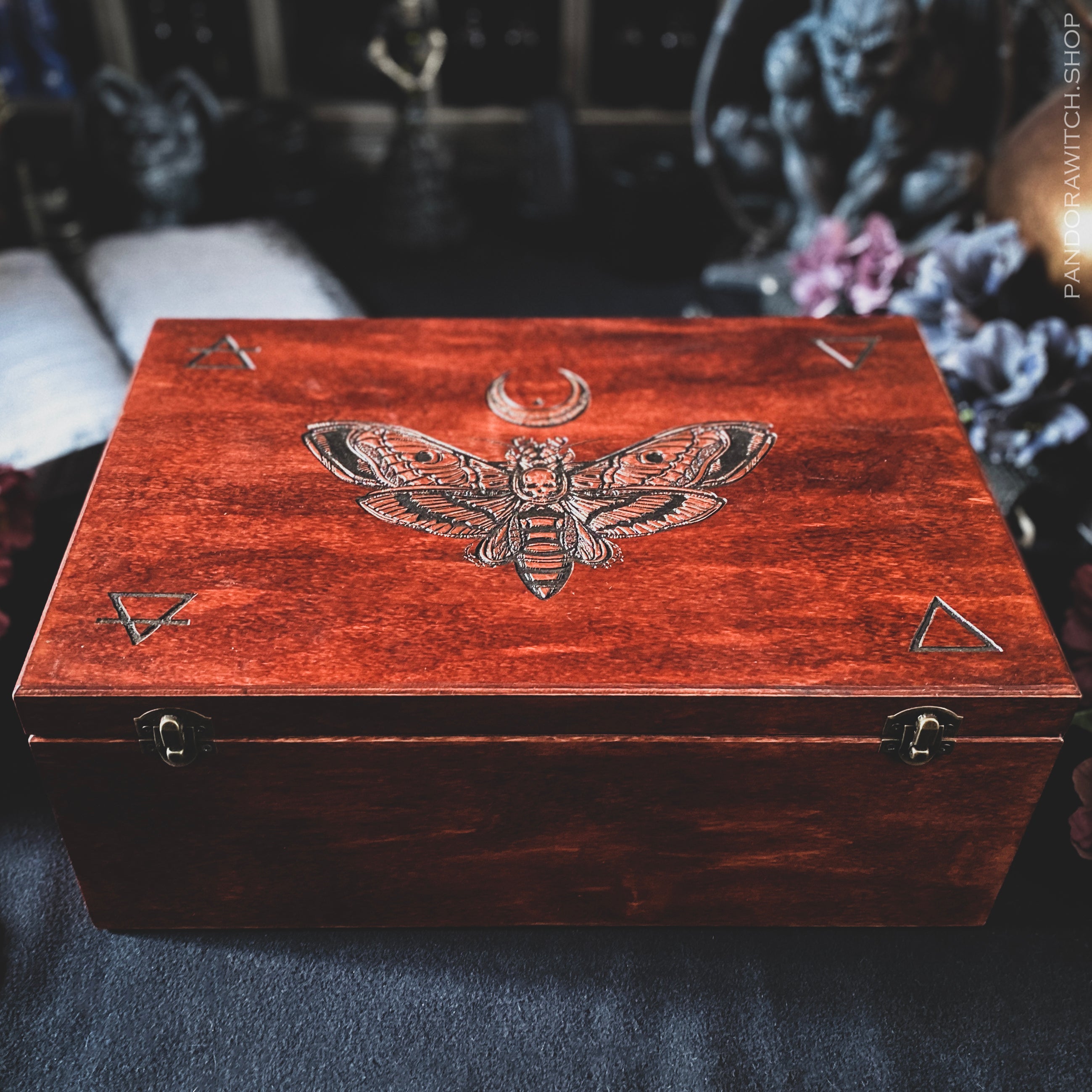 Big Witch Box - Cooper Death's head Moth