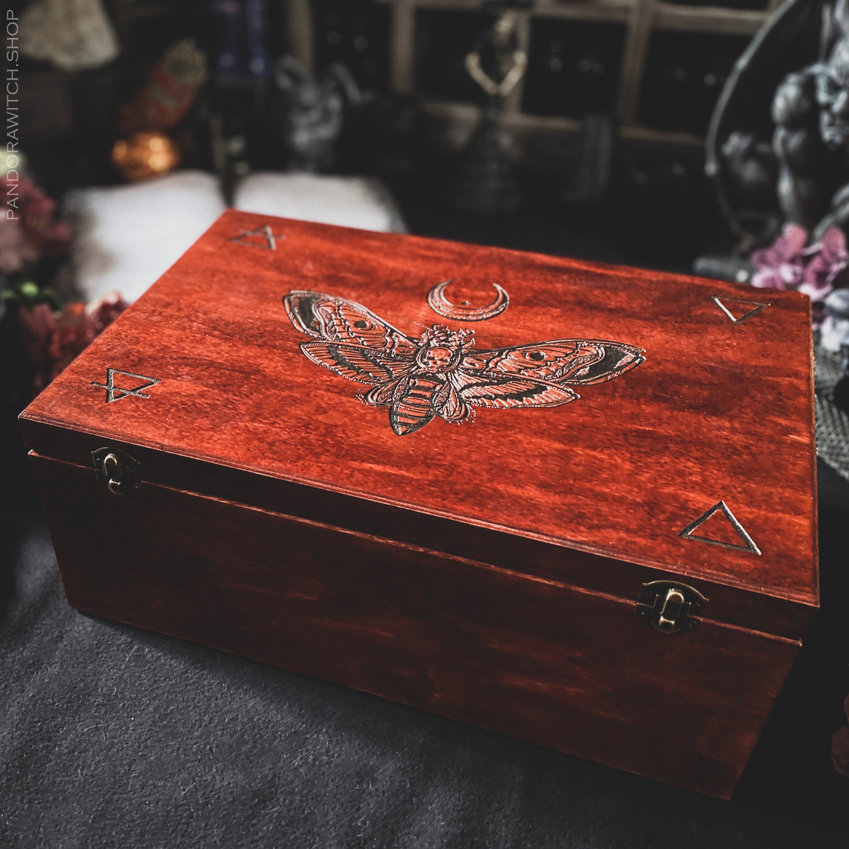 Big Witch Box - Cooper Death's head Moth