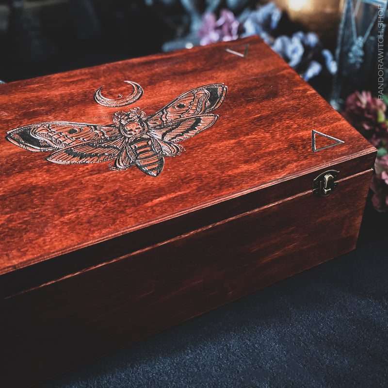 Big Witch Box - Cooper Death's head Moth