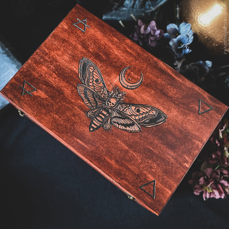 Big Witch Box - Cooper Death's head Moth