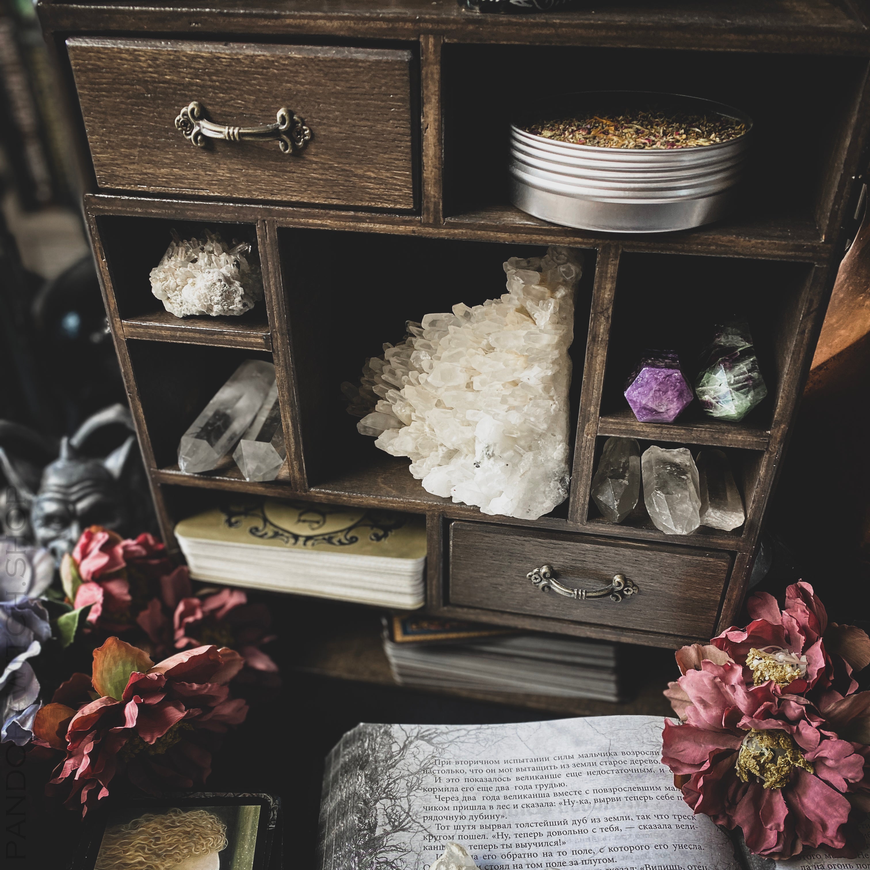 Shelf Witch House - Wenge wood