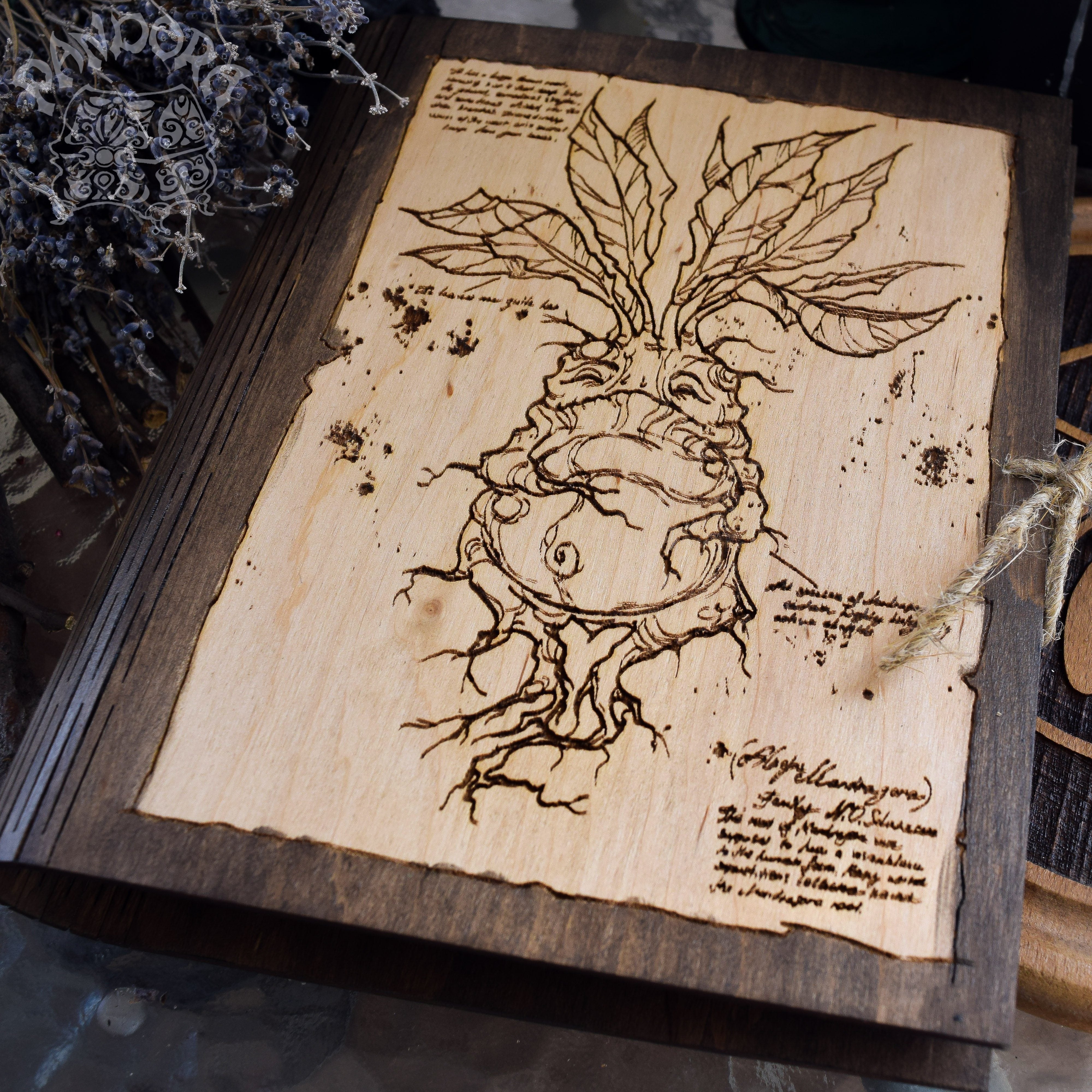 Book Of Shadows - Book Of Shadows - Mandrake Natural