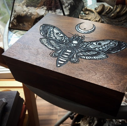 Box - "Silver Death's Head Moth"