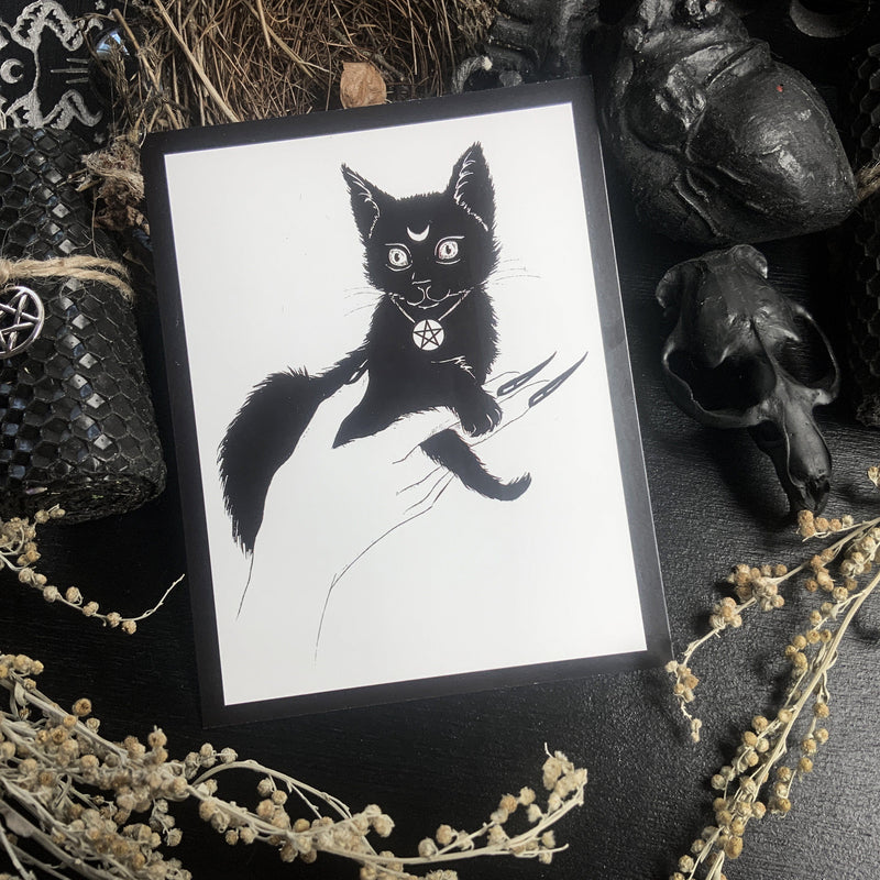 Postcard - Black Kitten